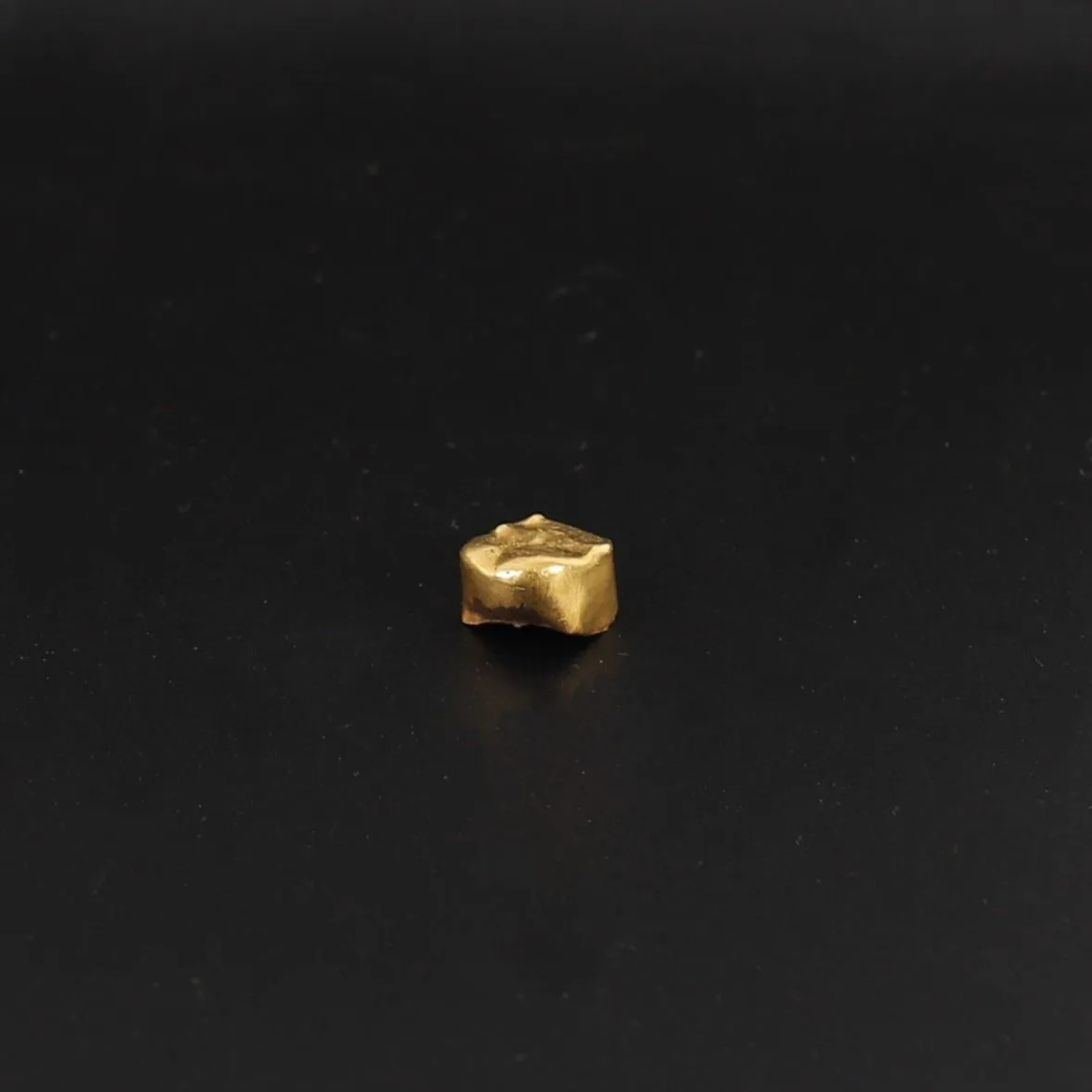 GOLD TOOTH - Lot 32