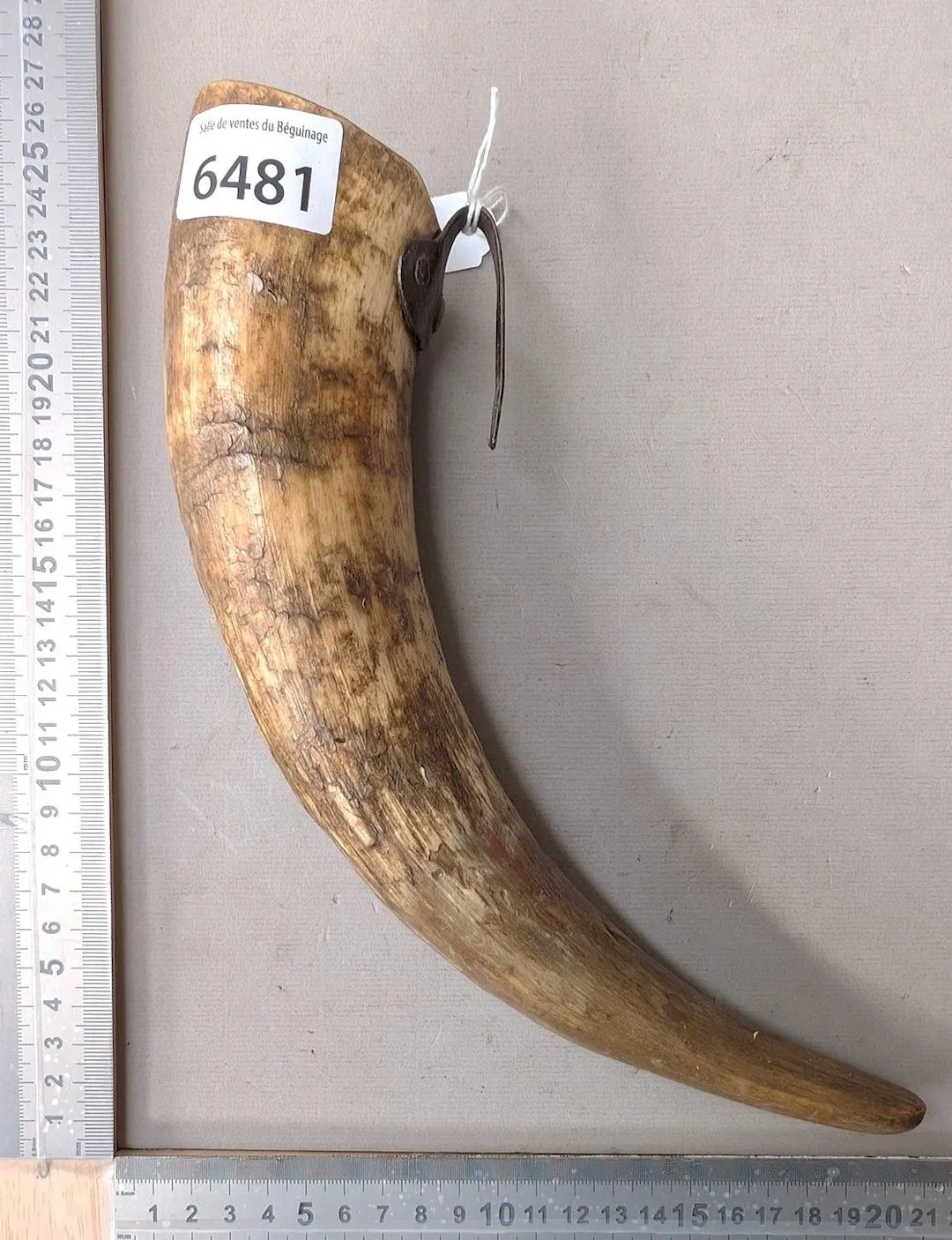 1 horn coffin + 1 stone—see photos for dimensions and condition