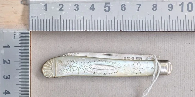 1 antique fruit knife with a silver blade and mother-of-pearl handle—see