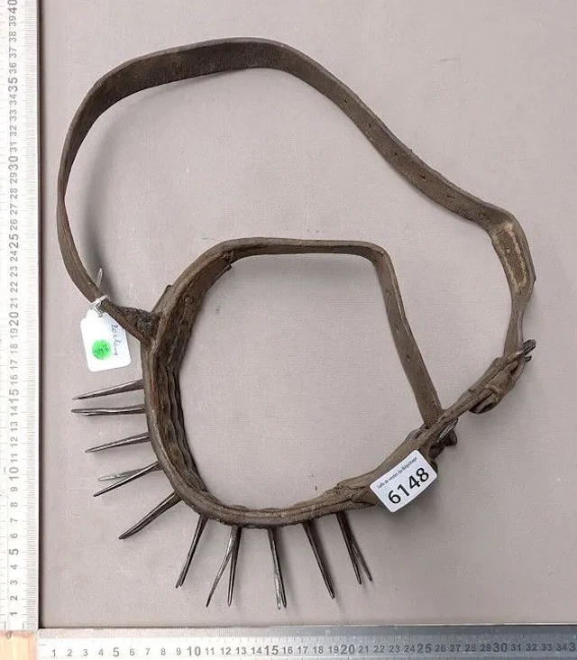 Vintage dog collar—see photos for dimensions and condition