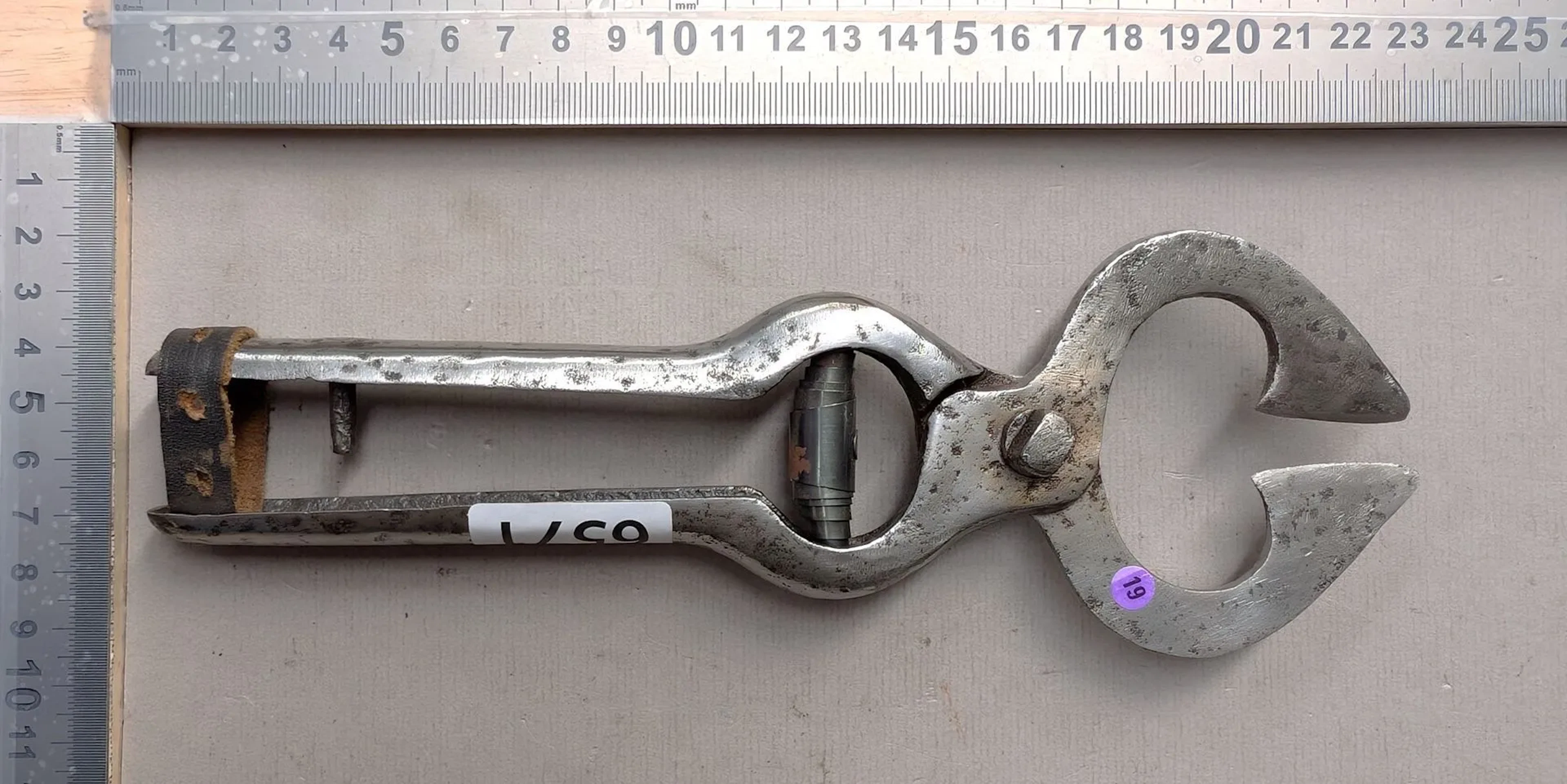 1 antique sugar tongs—see photos for dimensions and condition
