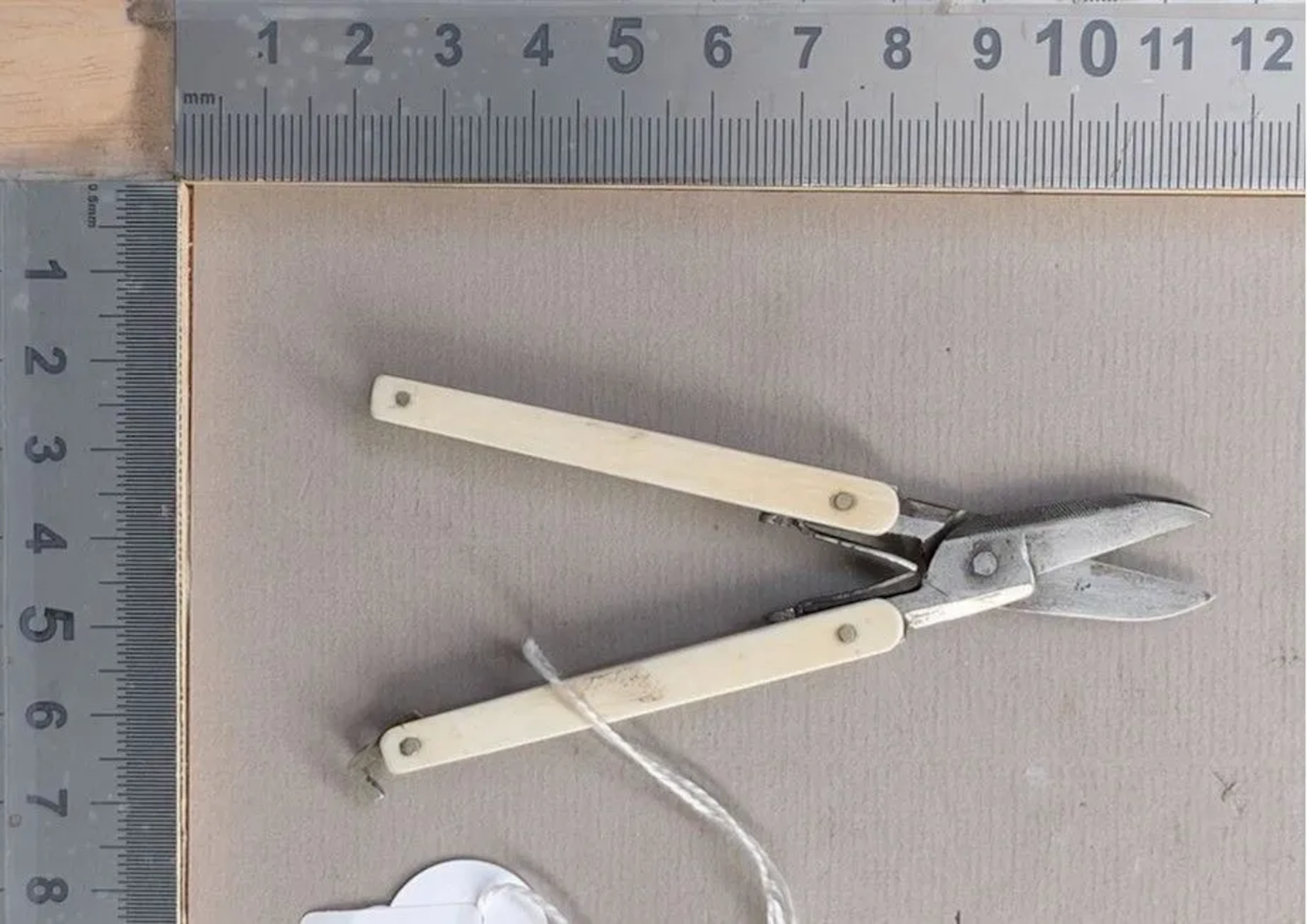 Small folding pocket scissors with a bone or horn lock, 1880–1900