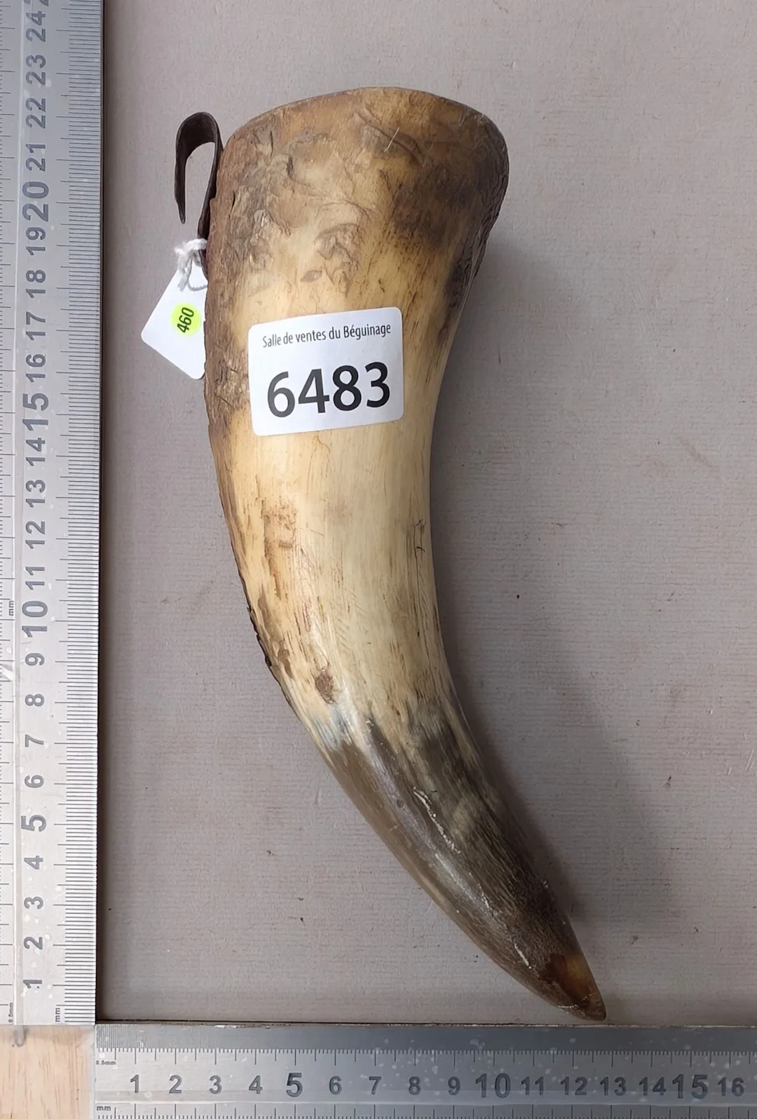 1 horn coffin + 1 stone—see photos for dimensions and condition