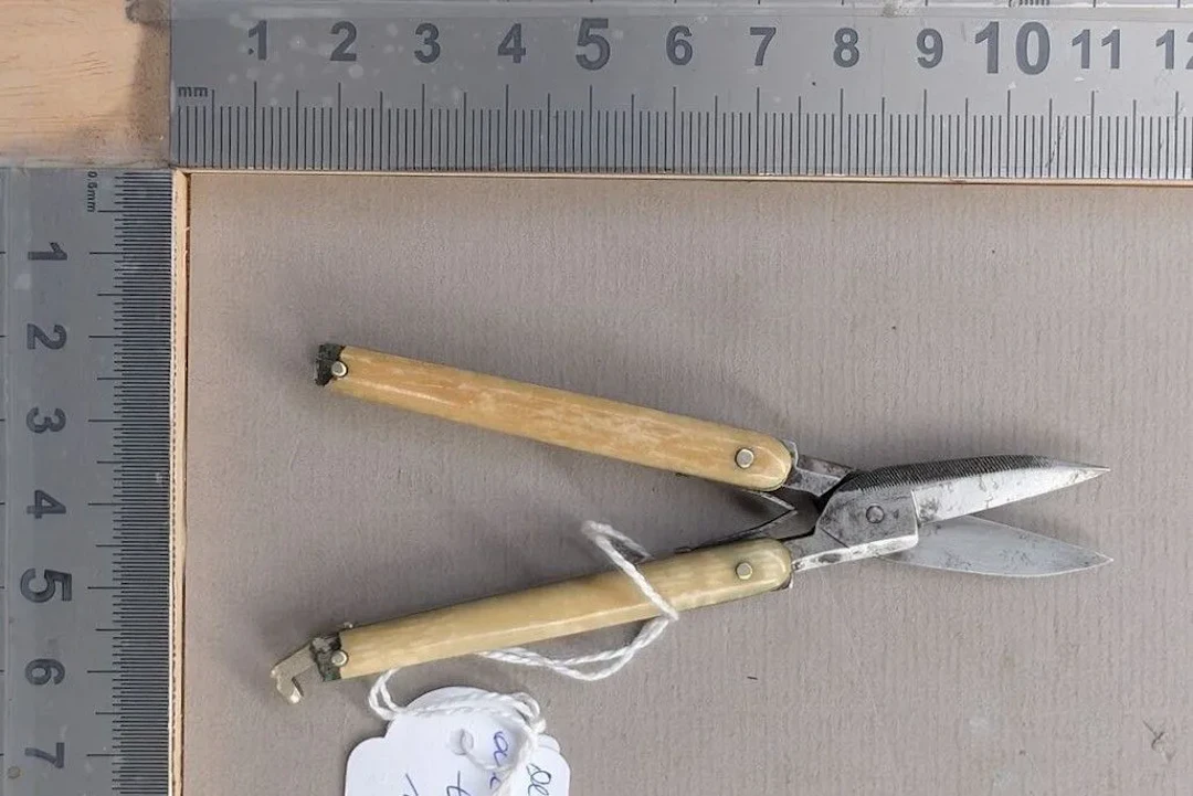 Small folding pocket scissors with a bone or horn lock, 1880–1900