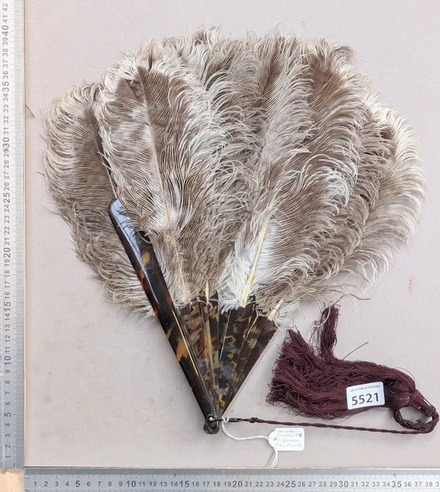 Ostrich-feather fan—See photos for dimensions and condition