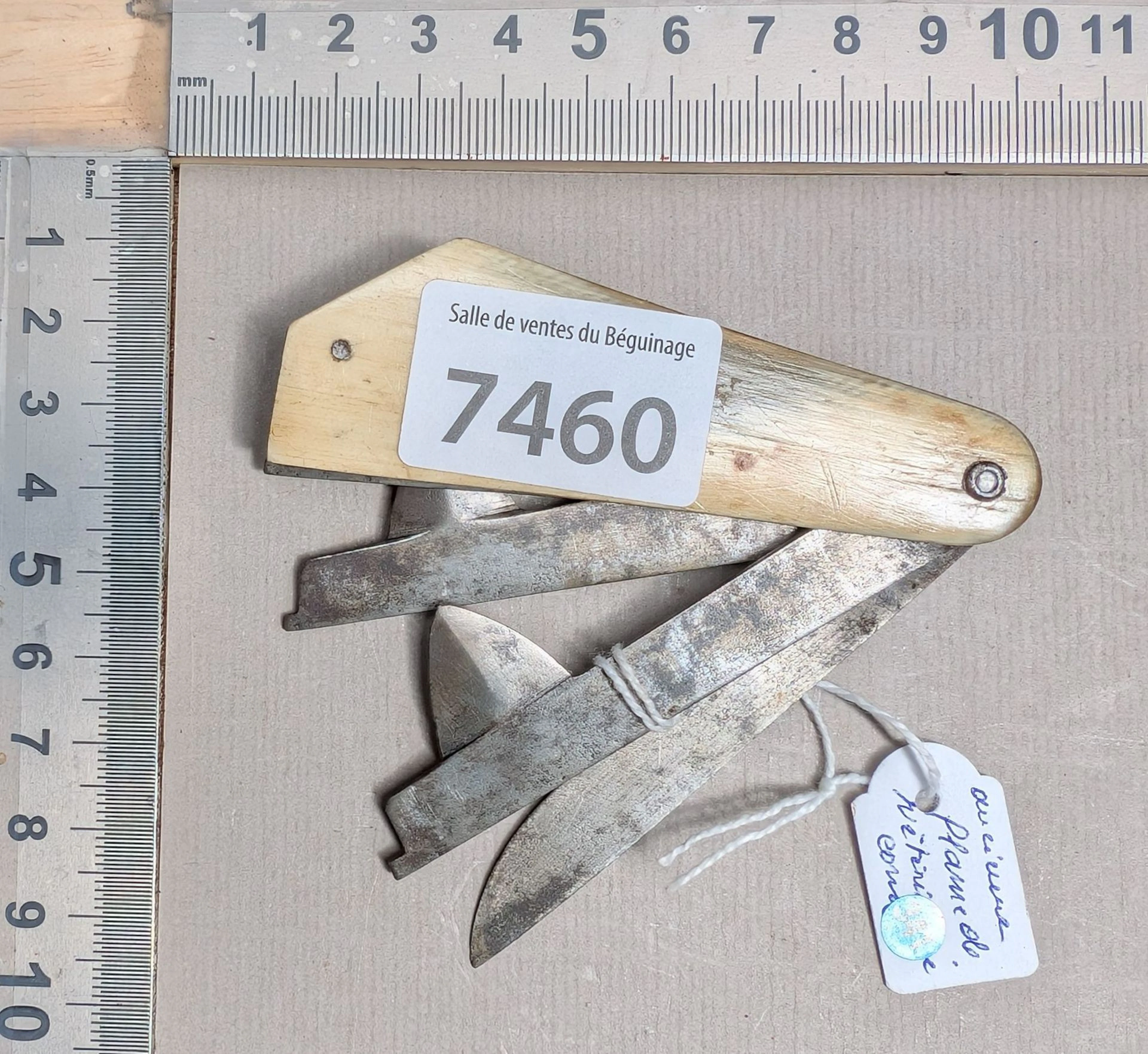 1 veterinary torch with 3 BAUDOT E and D GEMBLOUX horn blades—see