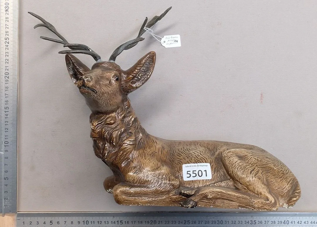 A magnificent stag, C 68334—see photos for dimensions and condition