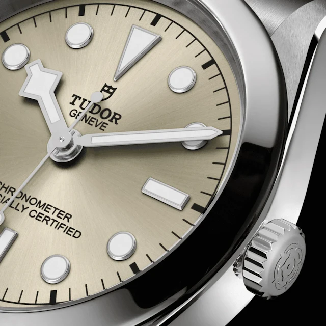 Tudor Black Bay Champagne dial 41mm M79680-0003