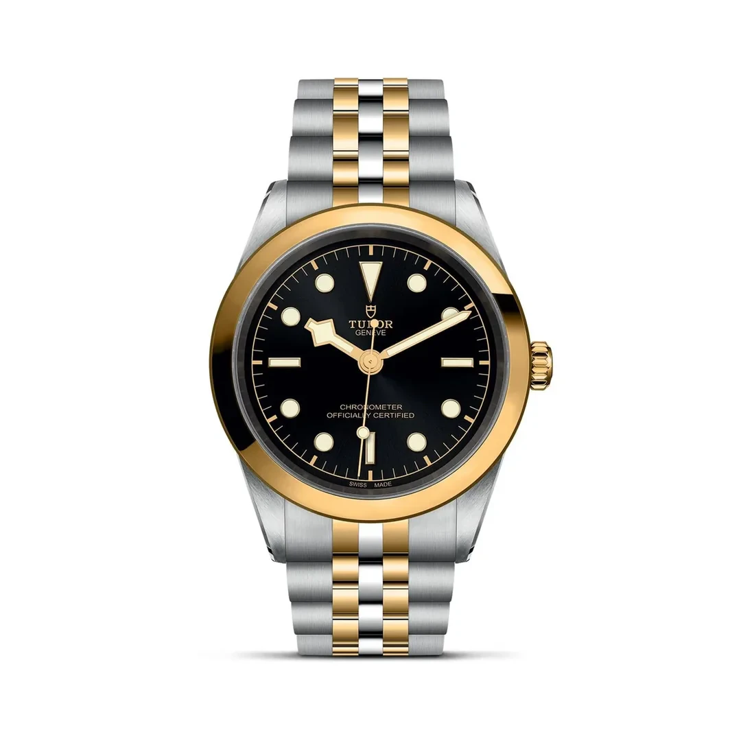 Tudor Black Bay Blk dial steel and gold 41mm M79683-0001 Bracelet