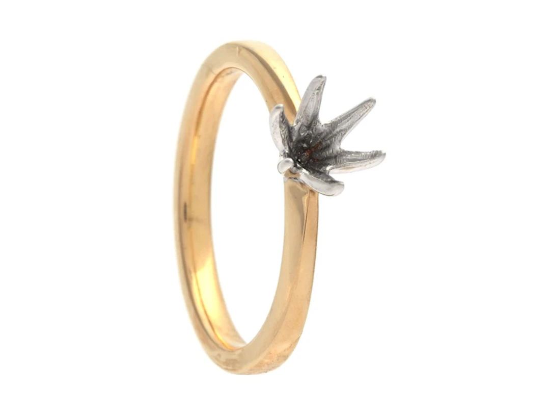 Smycke Ringskena