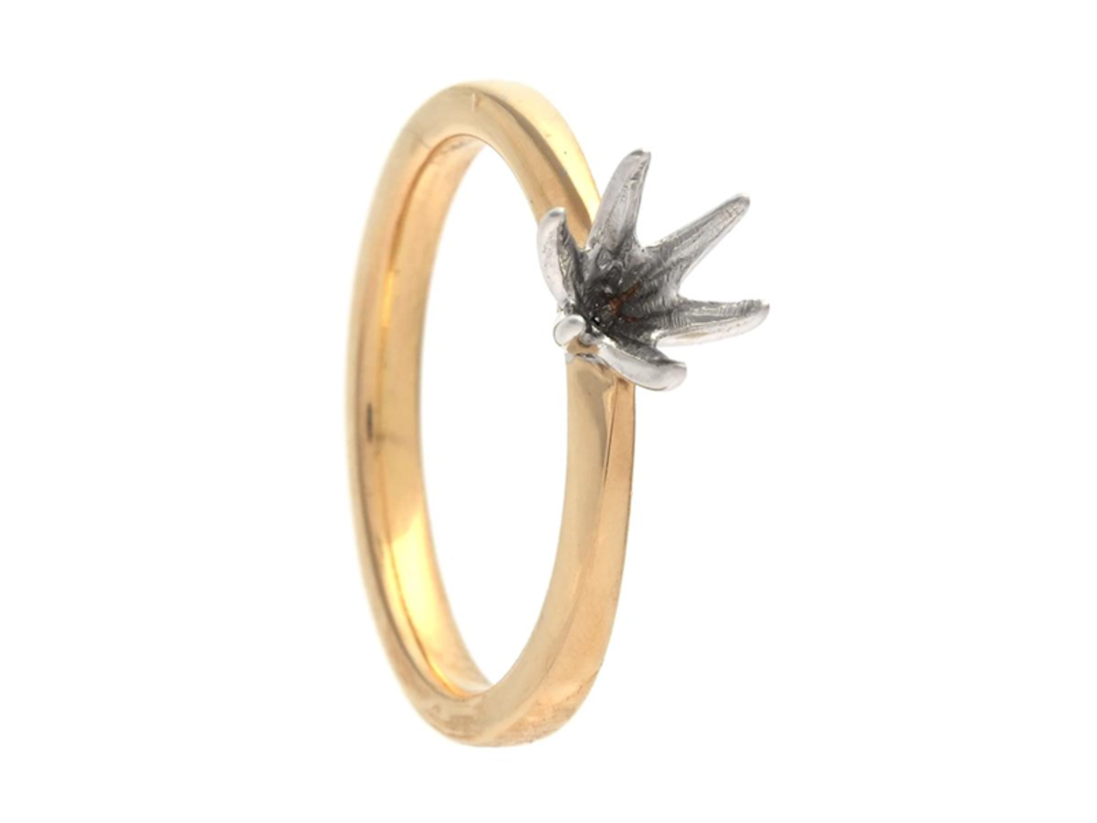 Smycke Ringskena