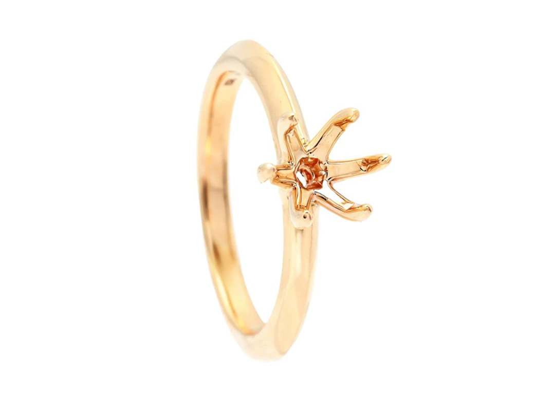 Smycke Ringskena