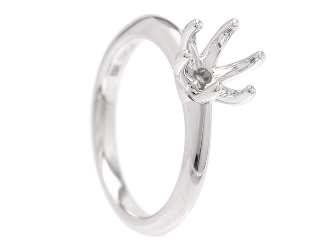 Smycke Ringskena