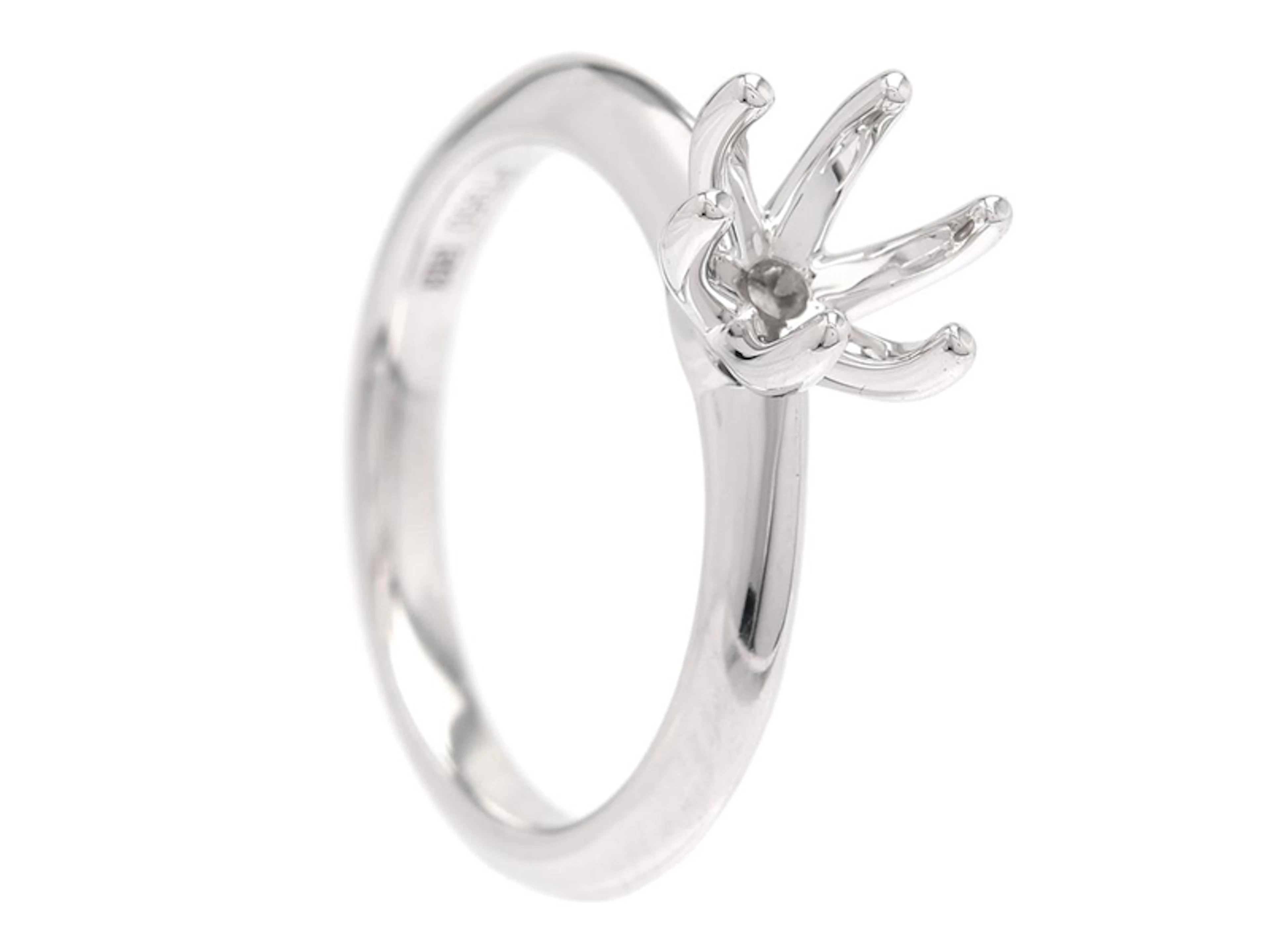 Smycke Ringskena