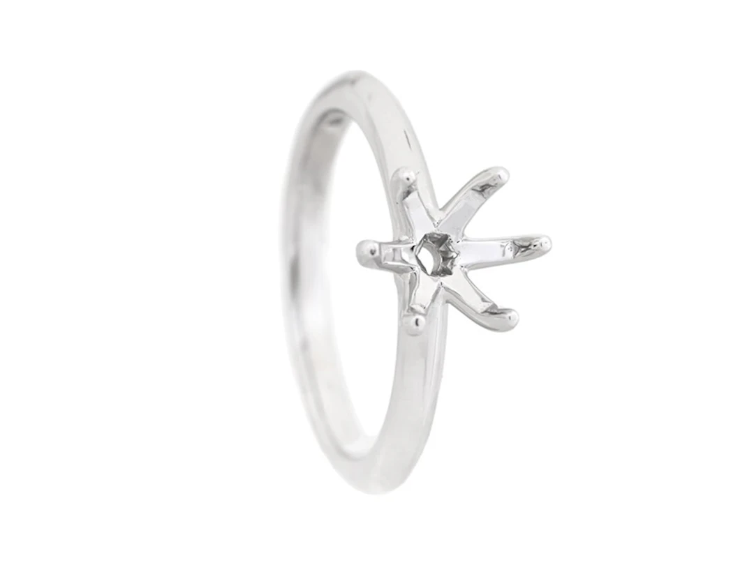 Smycke Ringskena