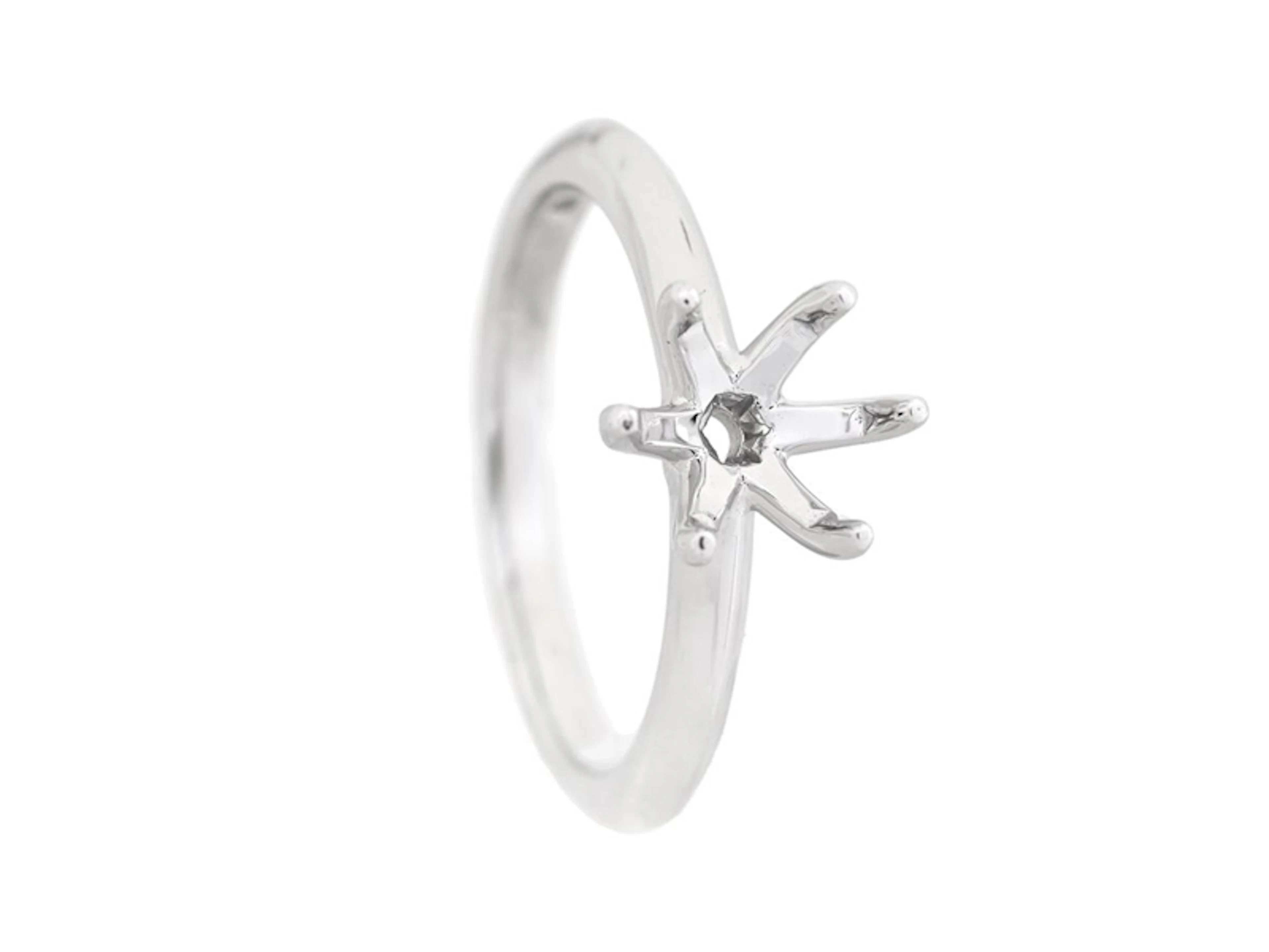 Smycke Ringskena