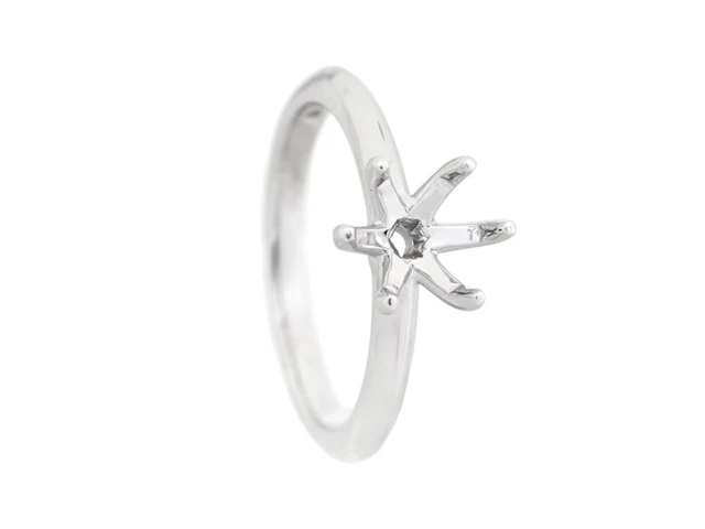 Smycke Ringskena