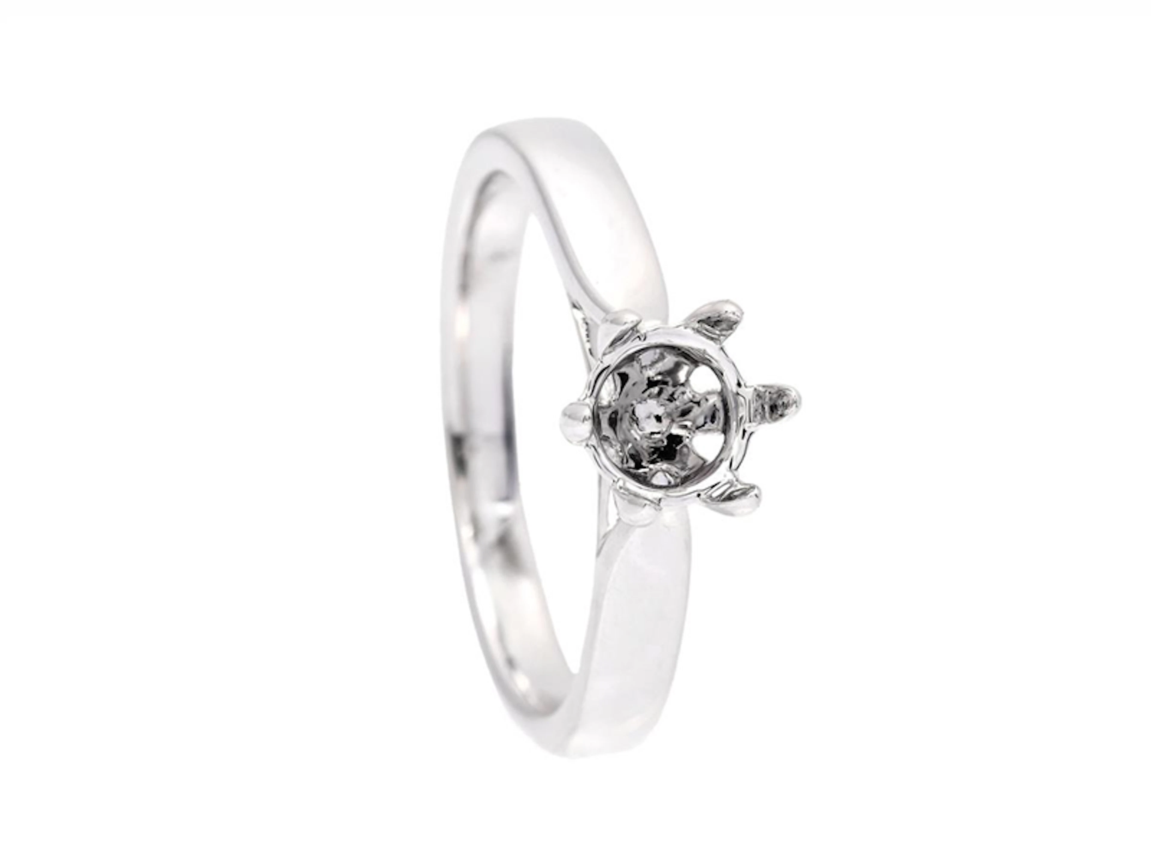 Smycke Ringskena