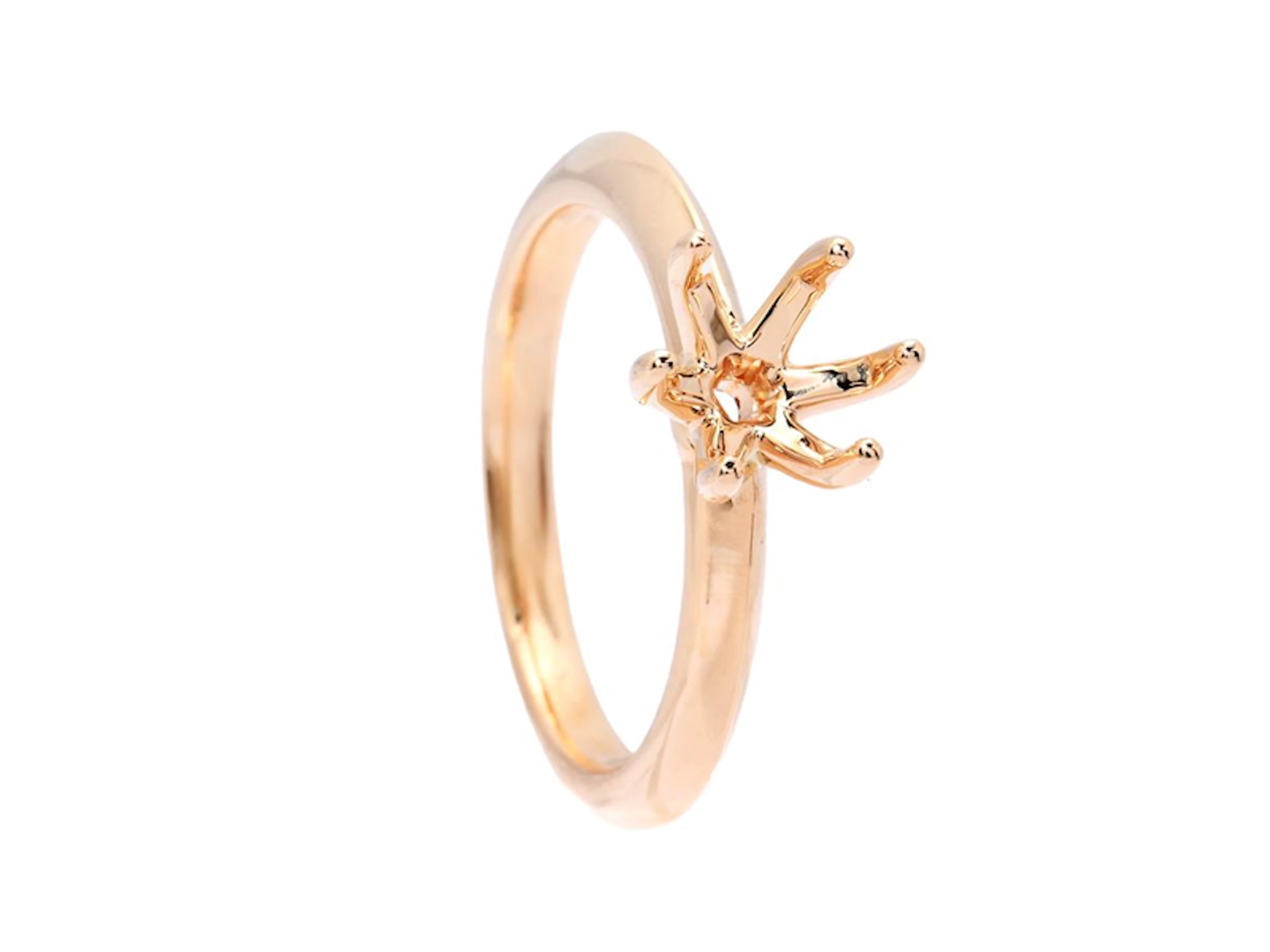 Smycke Ringskena