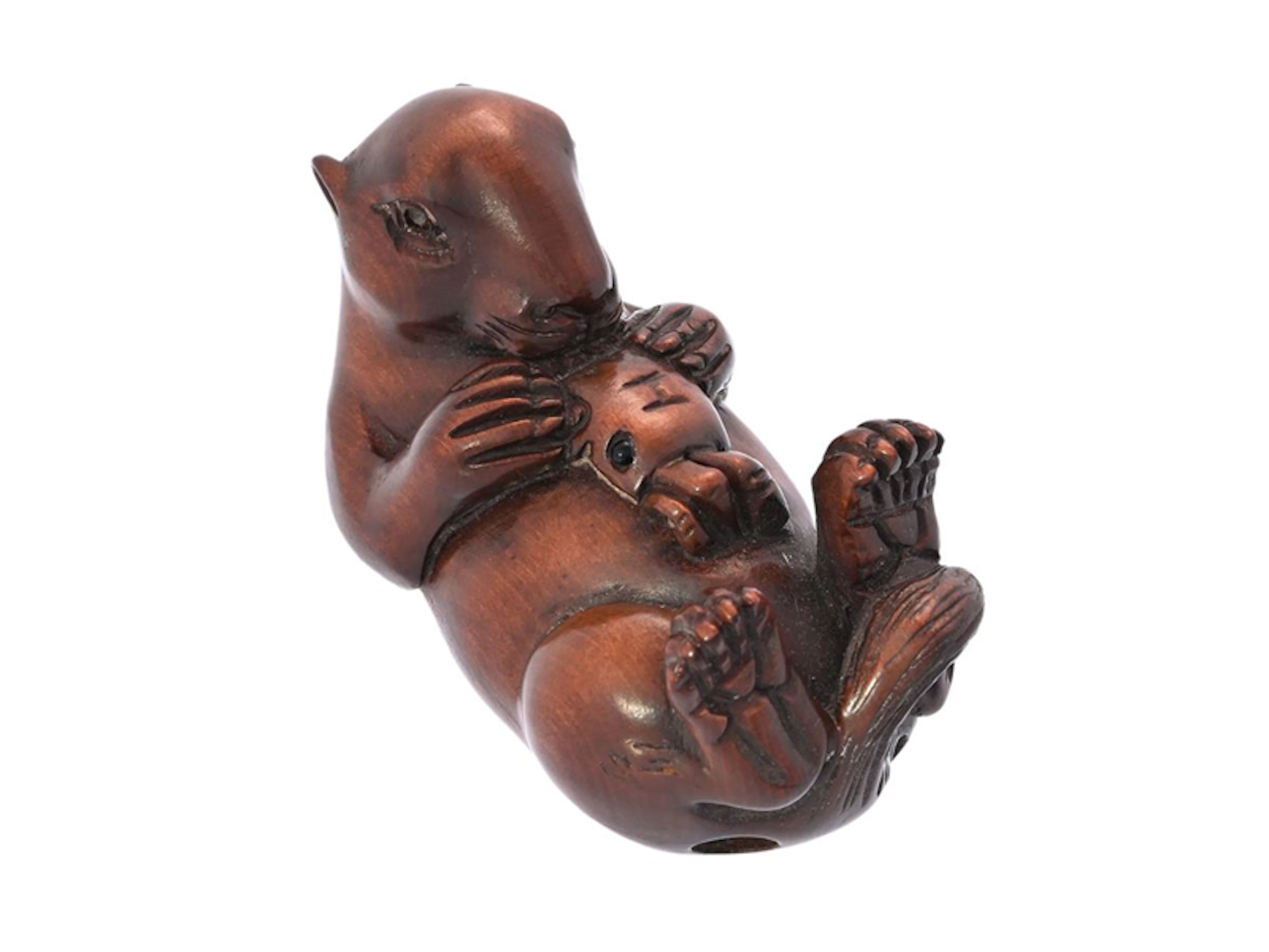 Kuriosa Trä