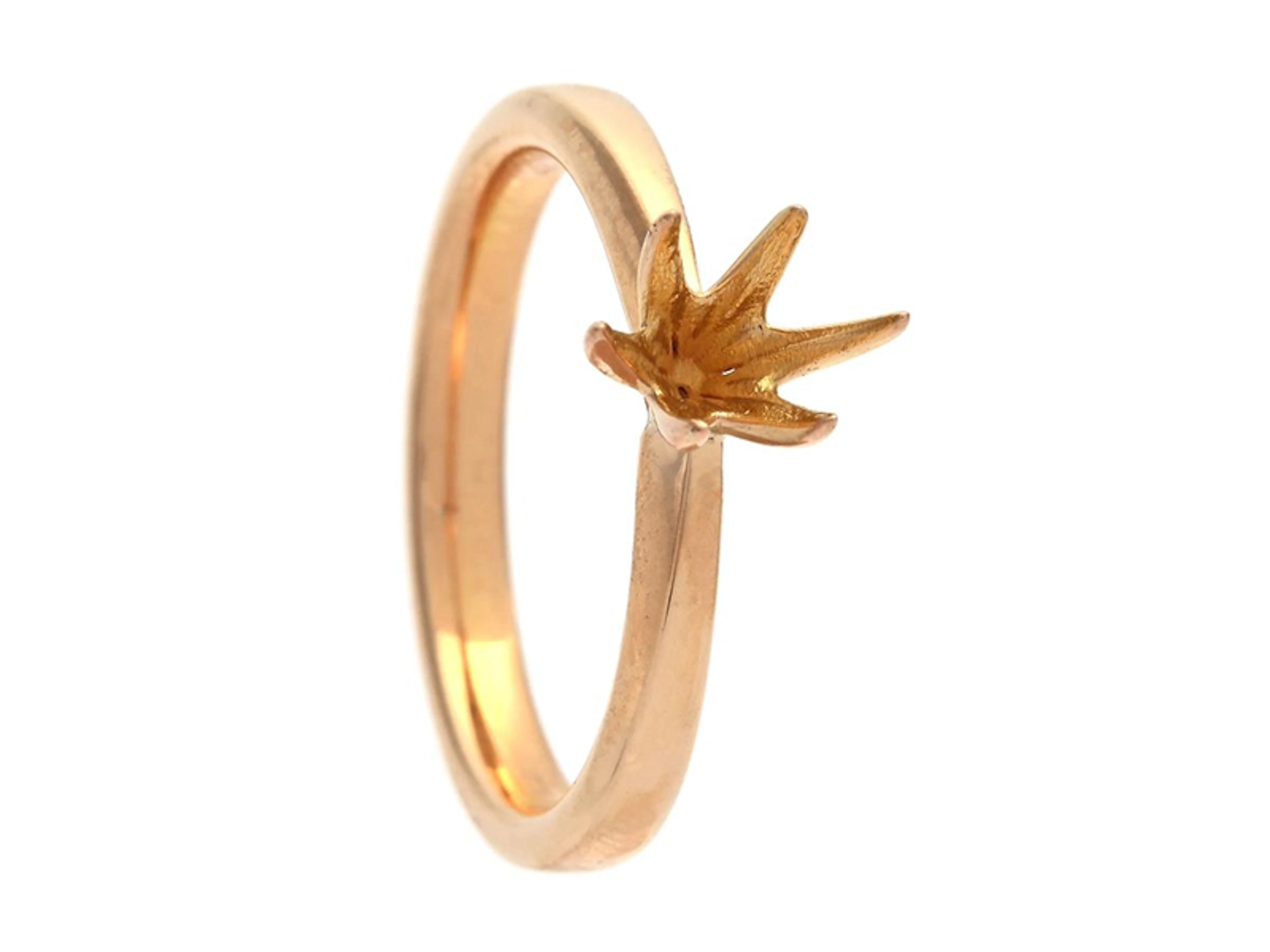 Smycke Ringskena