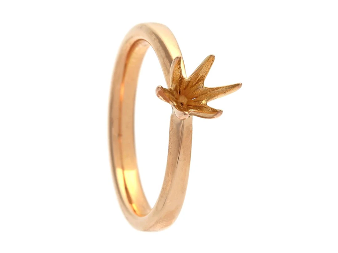 Smycke Ringskena