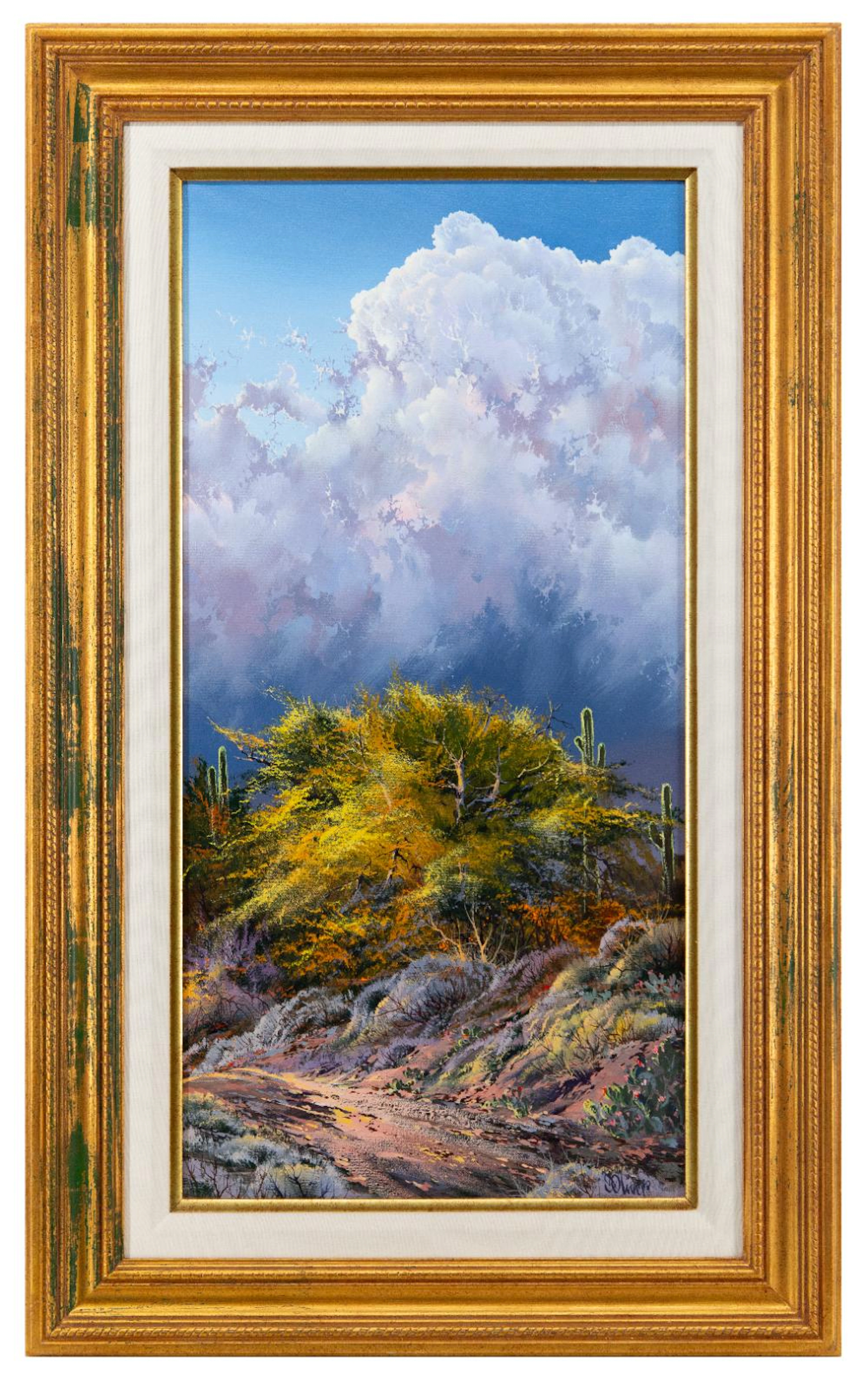 DOUGLAS OLIVER "PALOVERDE SHOWTIME" ACRYLIC ON CANVAS