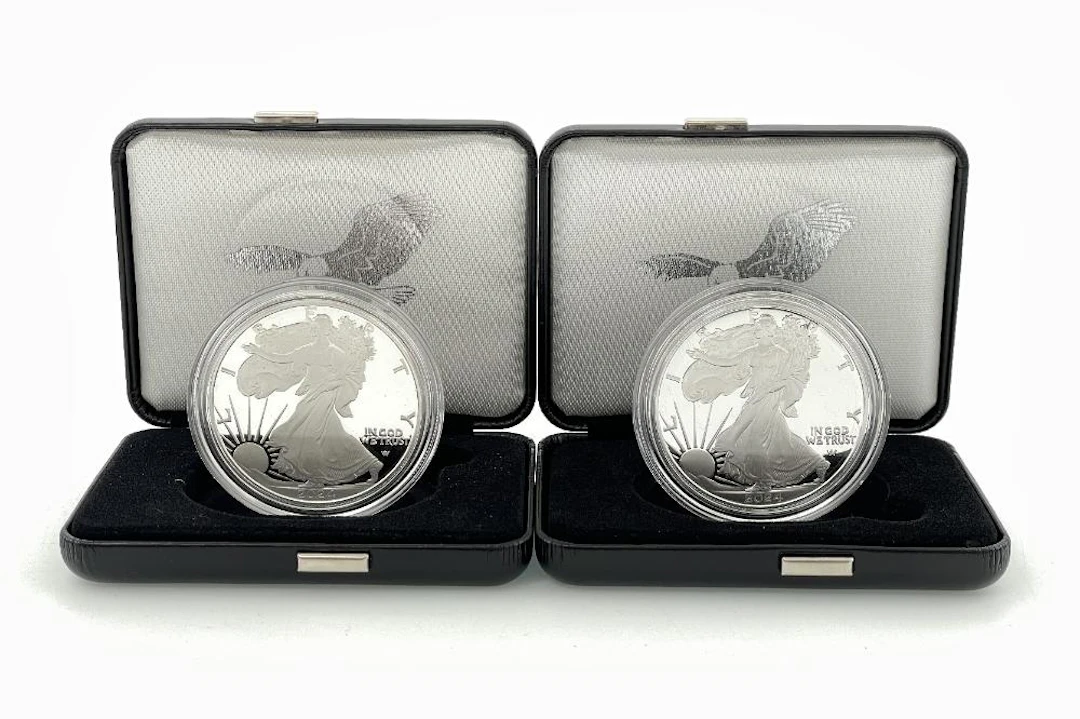 LOT OF 2 2024 AMERICAN SILVER EAGLE PROOF COINS