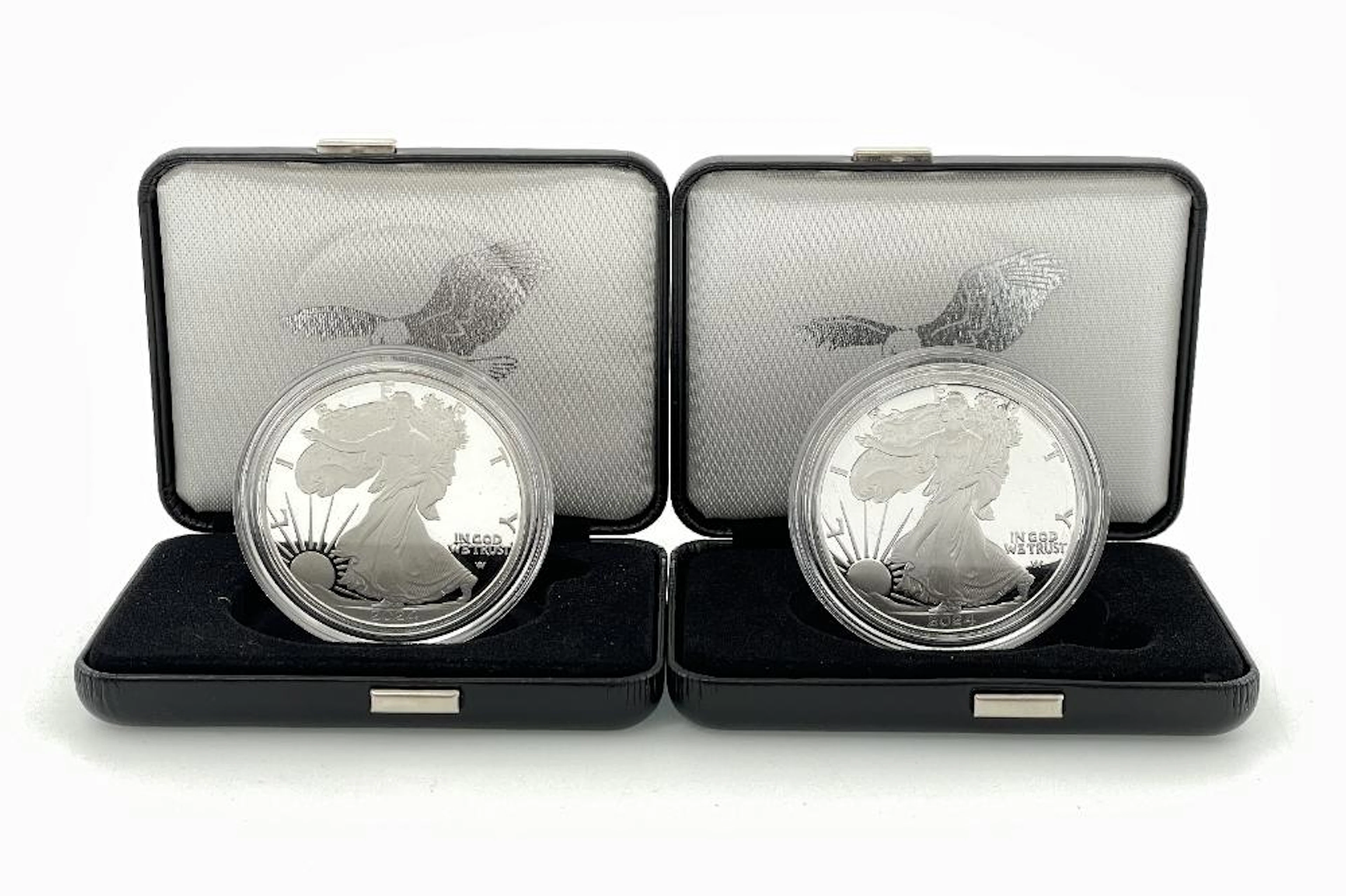LOT OF 2 2024 AMERICAN SILVER EAGLE PROOF COINS