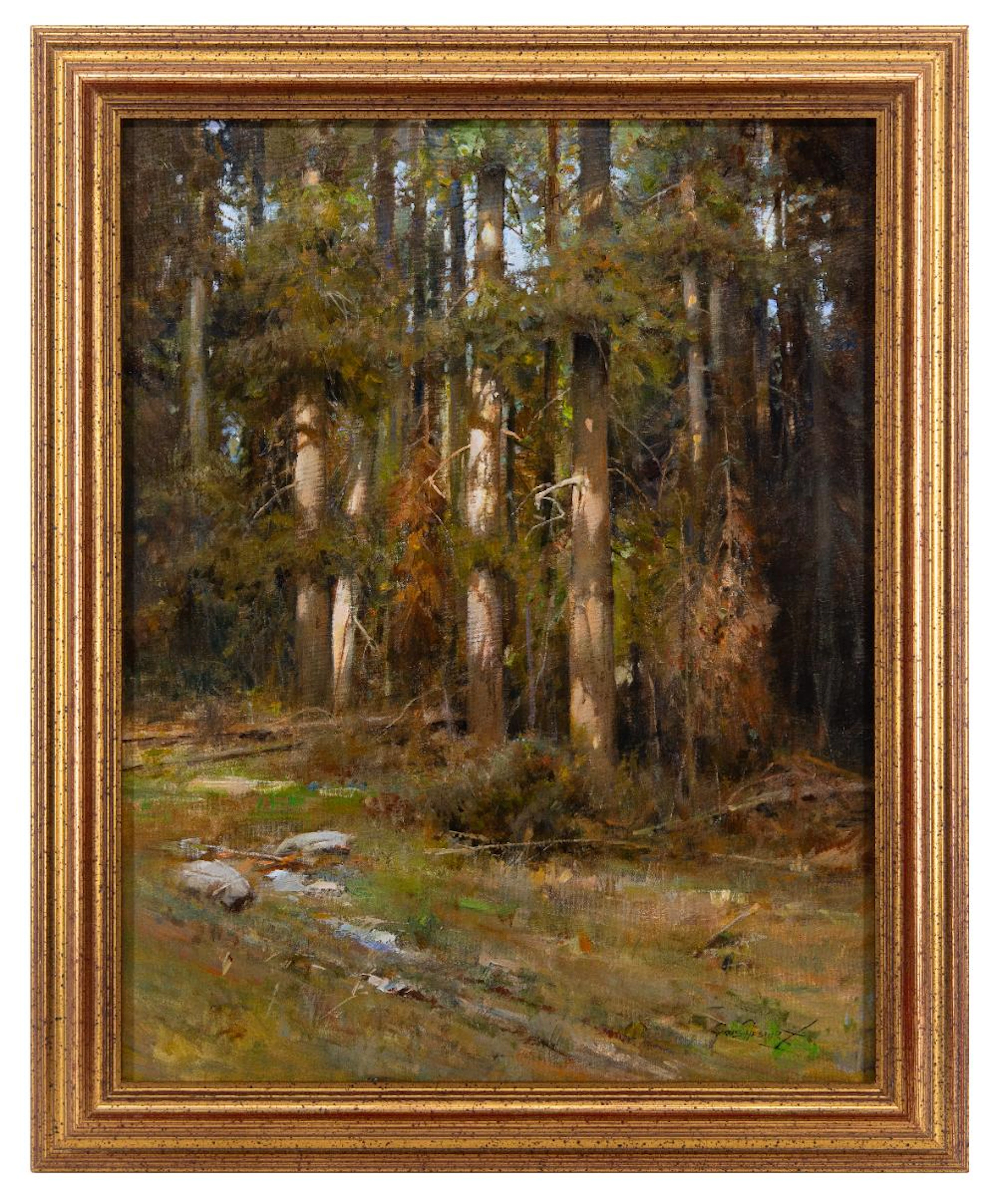 CYRUS AFSARY "FOREST LIGHT" OIL ON CANVAS