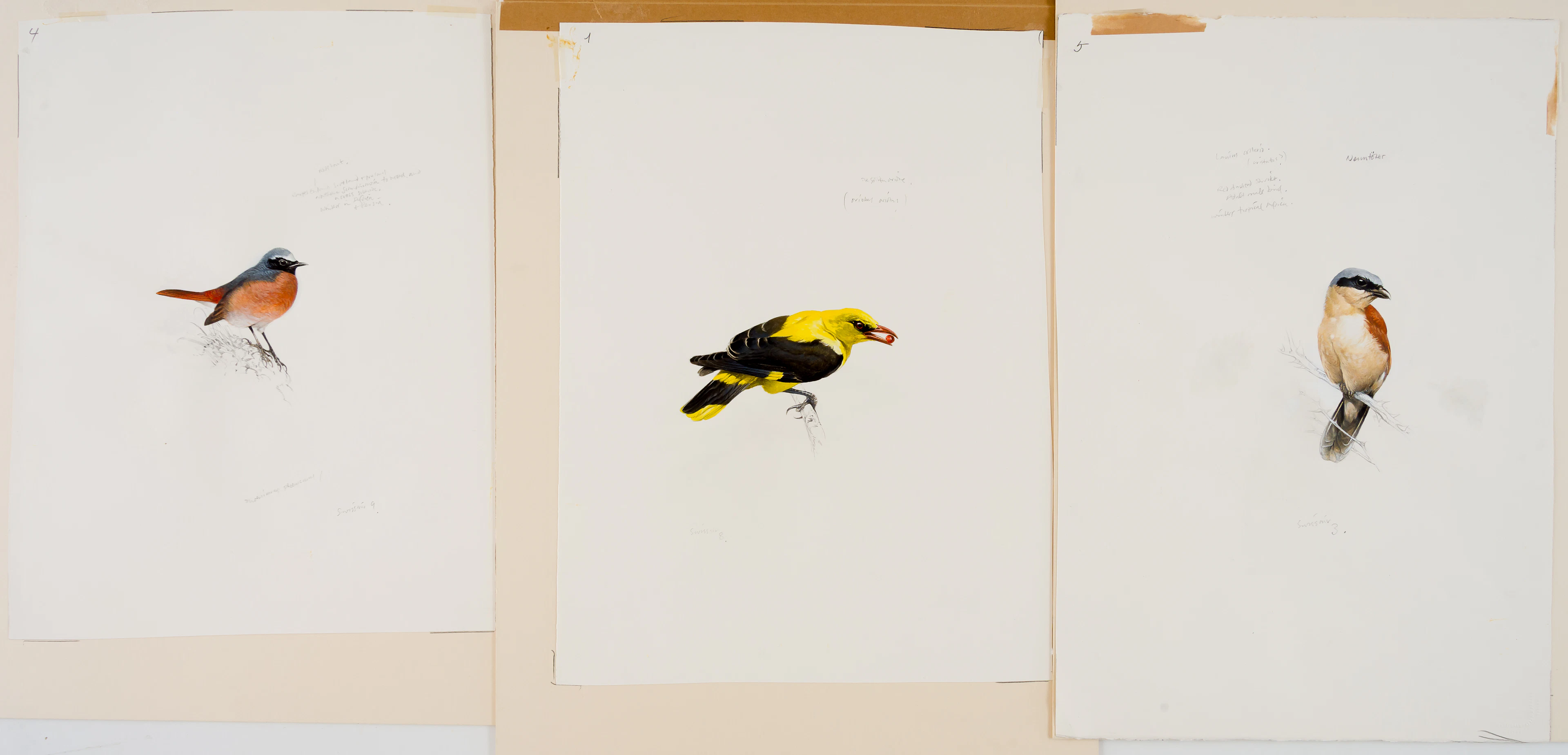 Lot 711: UNKNOWN PAINTER