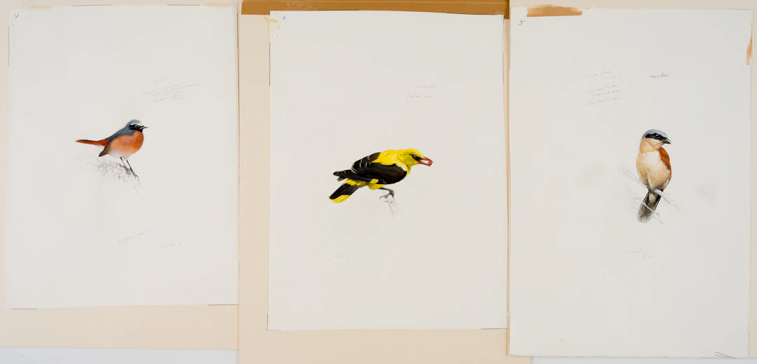 Lot 711: UNKNOWN PAINTER