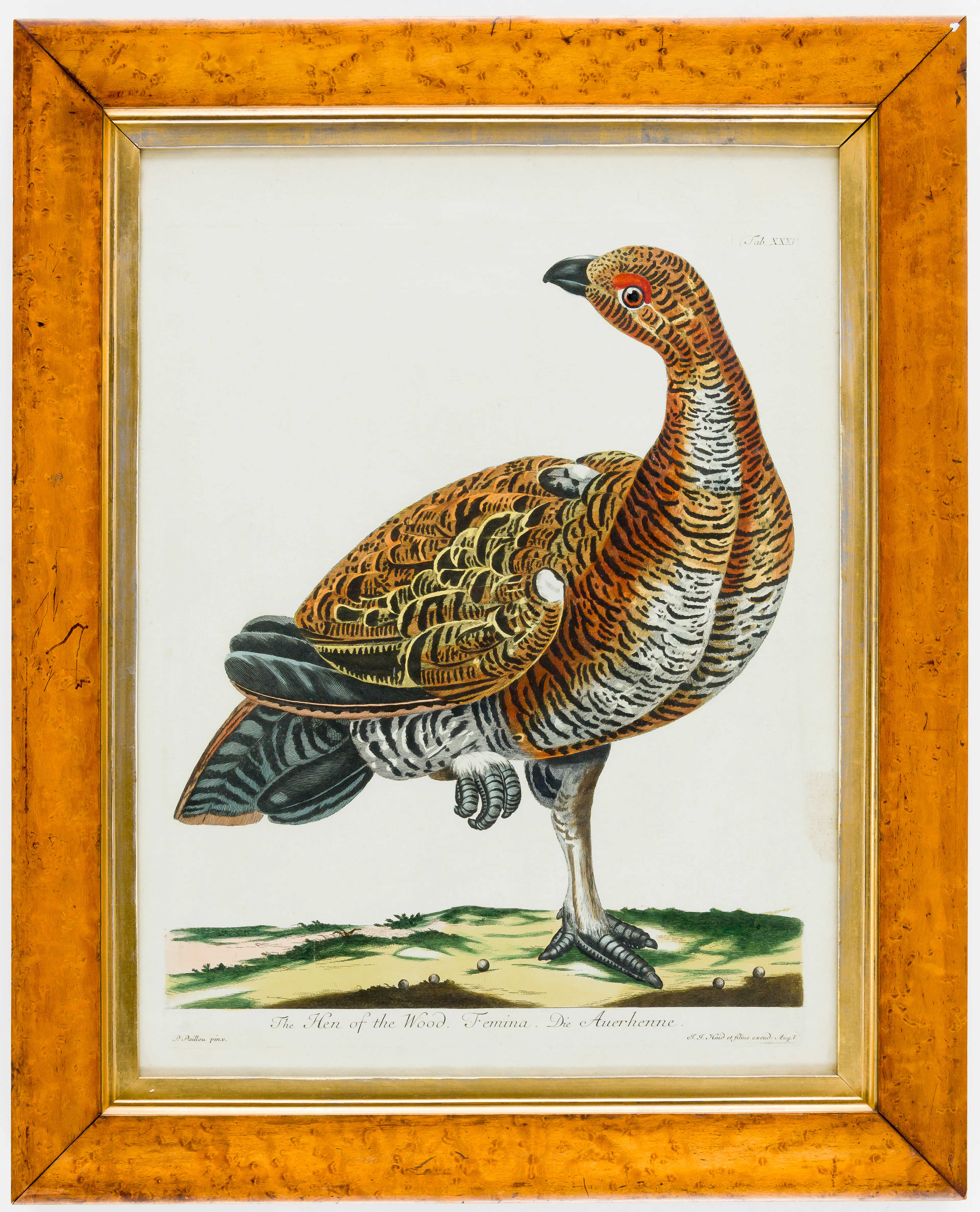 Lot 508: Johann Jakob HAID (1704-1767)