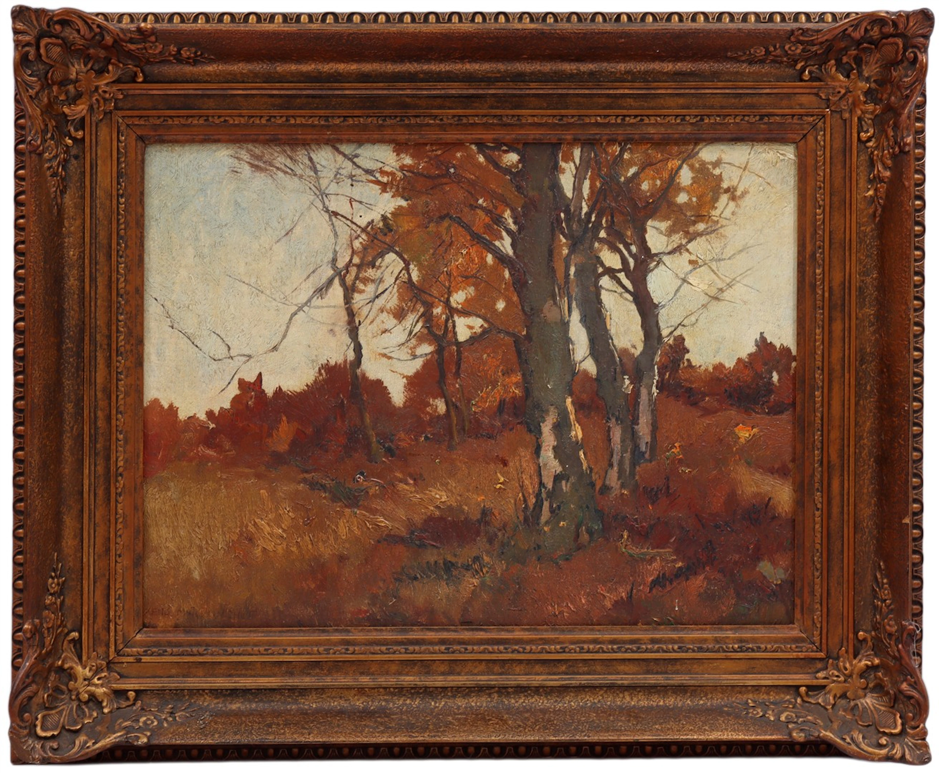 Herfstlandschap met beuken