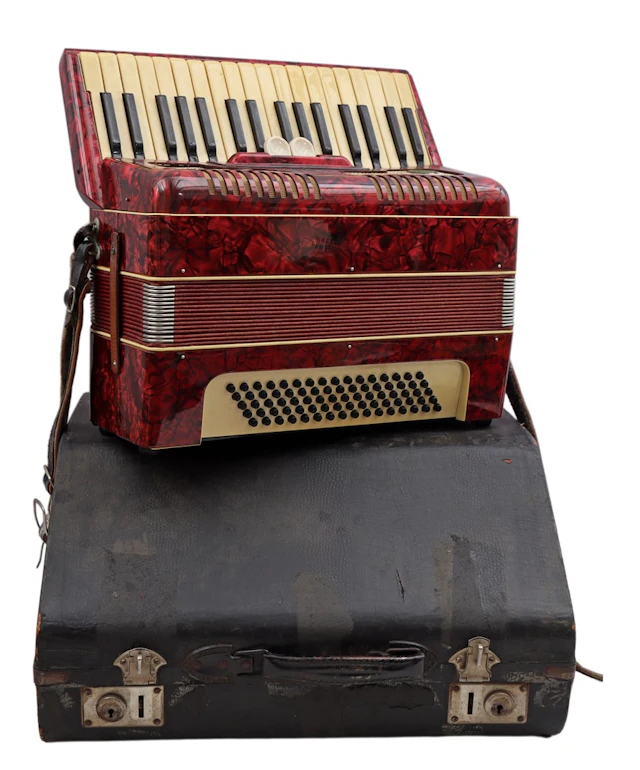 Weltmeister accordeon in koffer