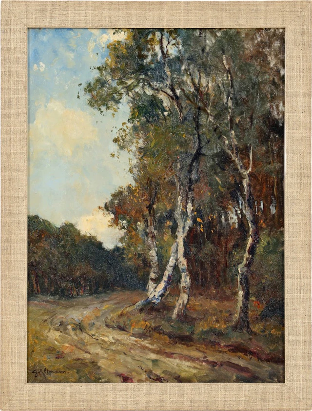 Berken langs zandpad