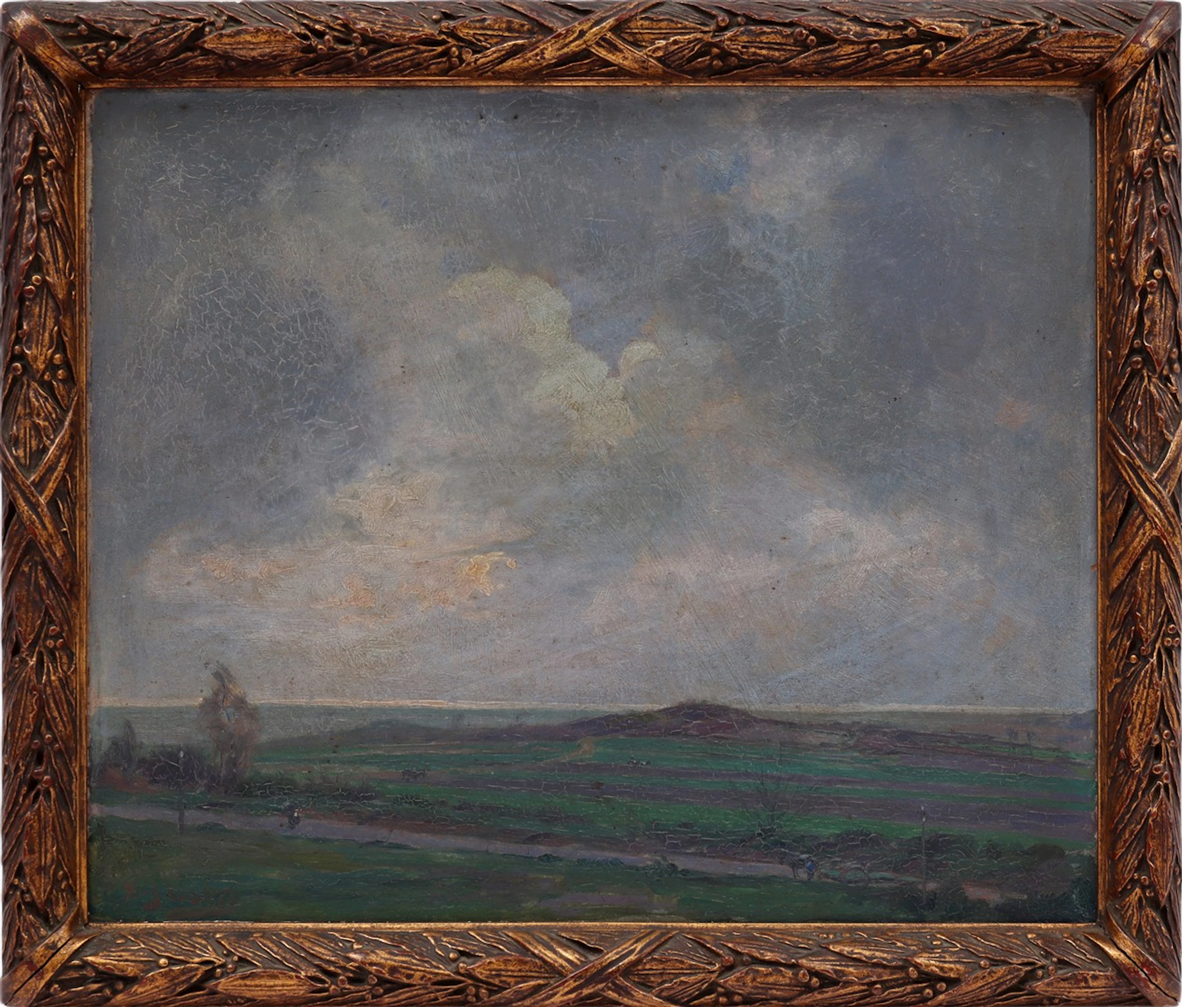 Weids landschap