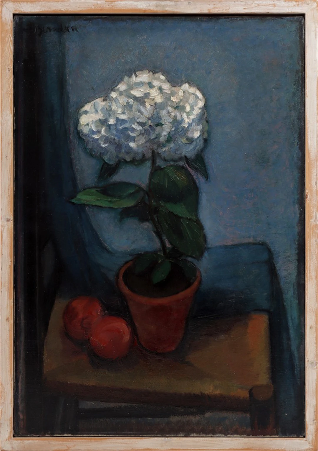Pot met bloeiende hortensia