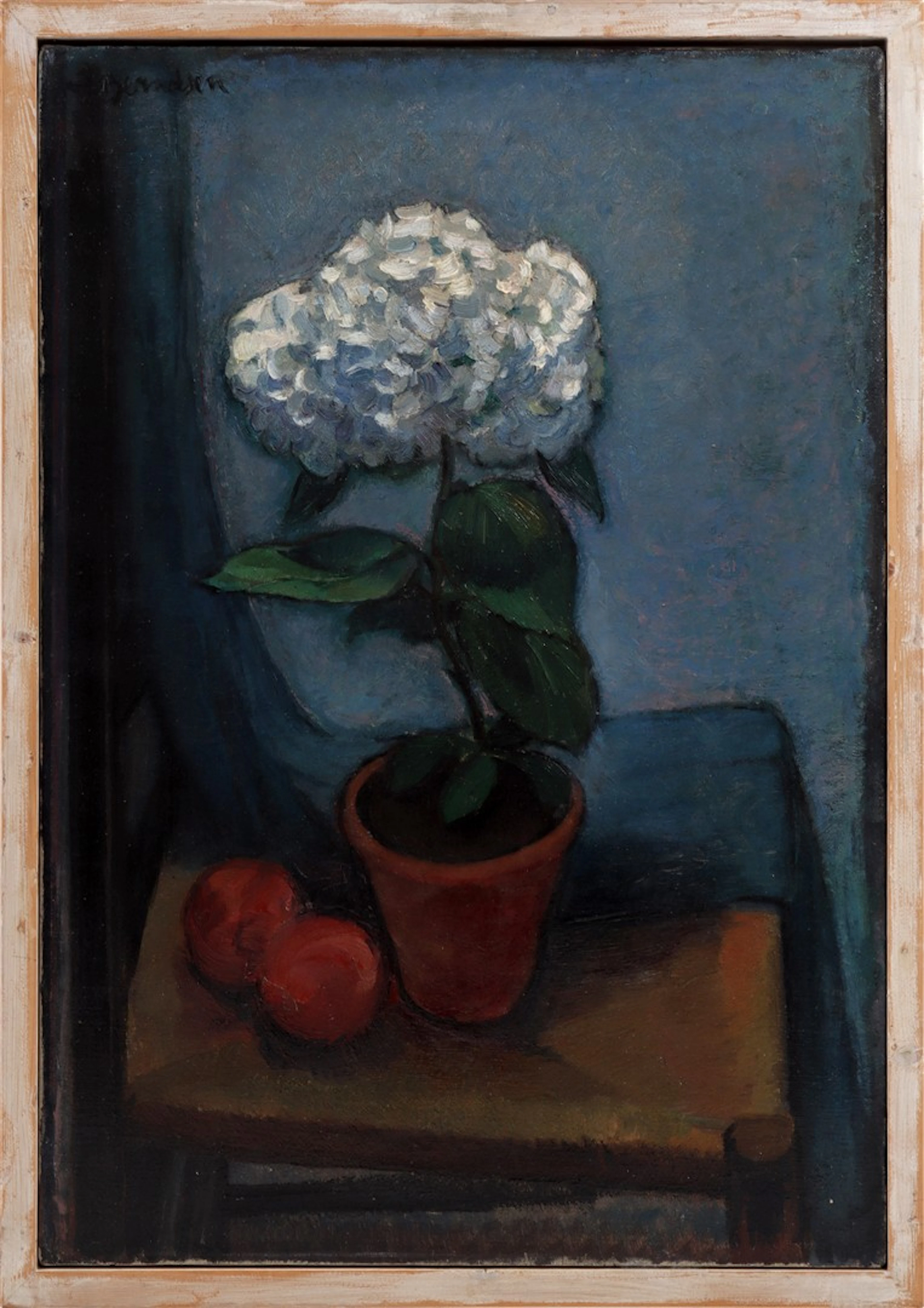 Pot met bloeiende hortensia