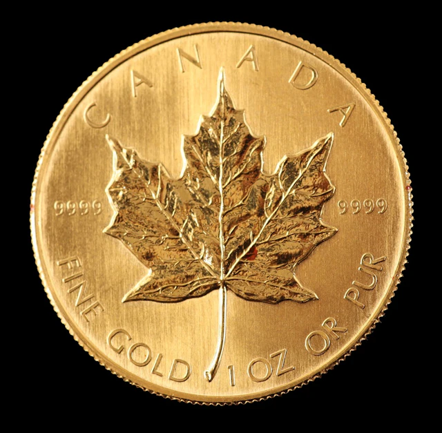 Gouden 50 Dollar munt Canada 'Maple Leaf' 1 OZ