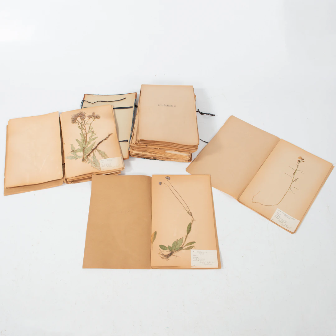 HERBARIUM 2 st.