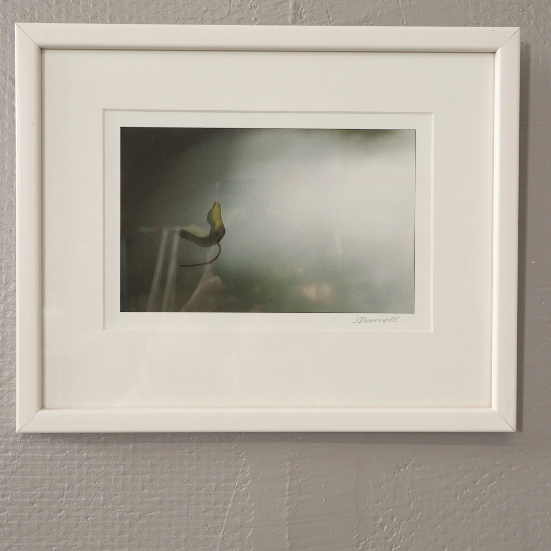 STINA DEURELL. FOTOKONST signerad.