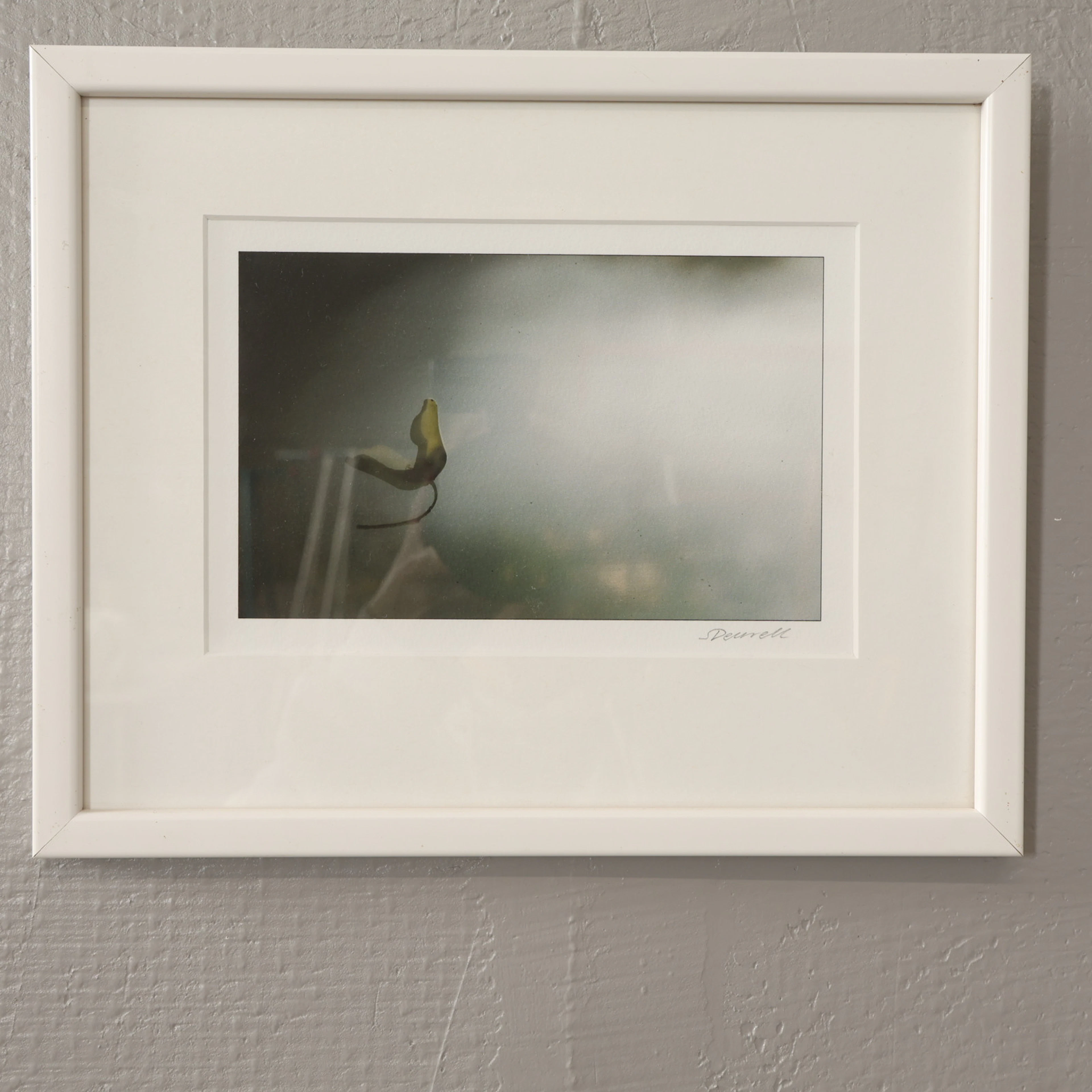 STINA DEURELL. FOTOKONST signerad.