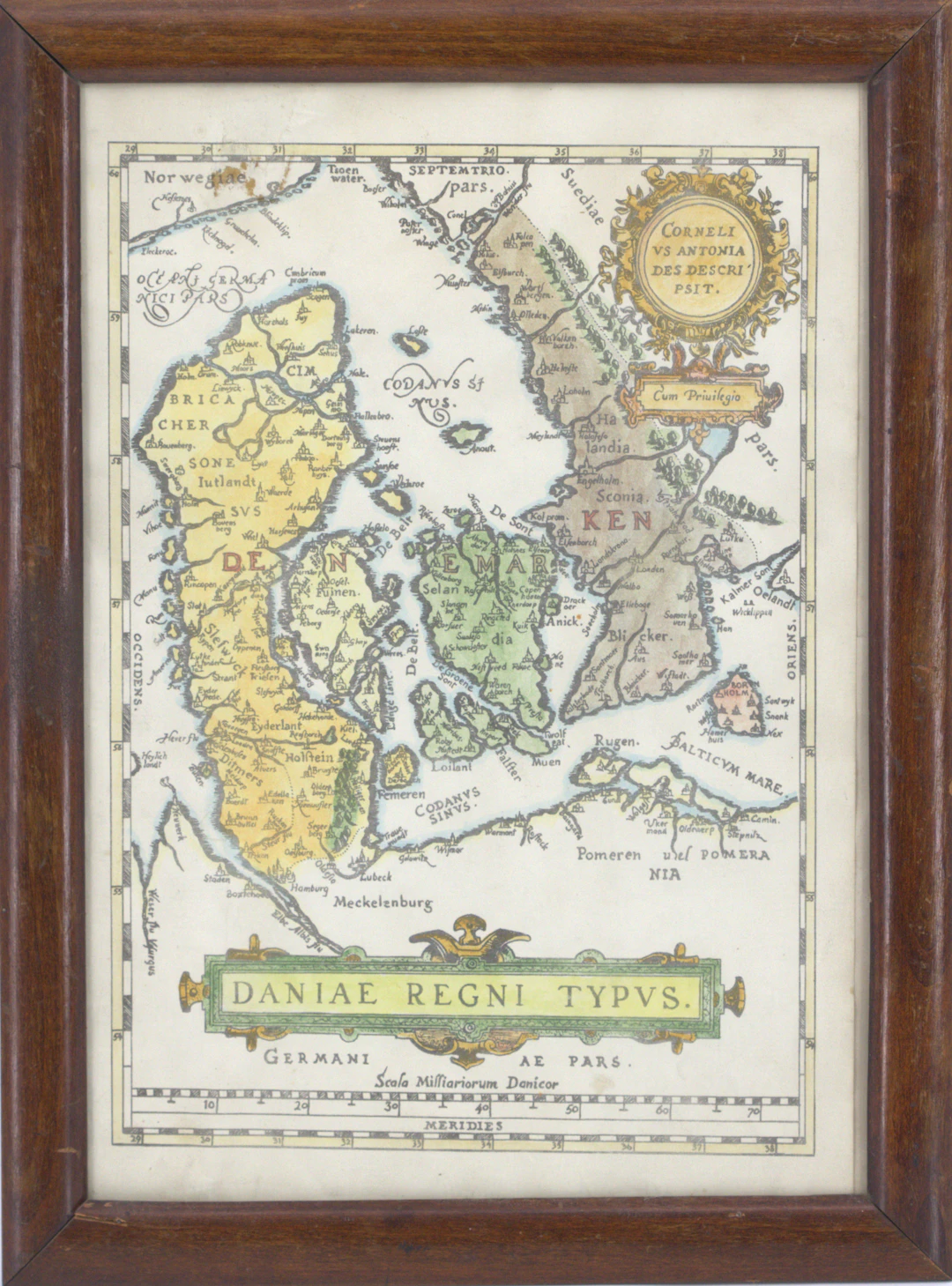 KARTA, kolorerat kopparstick, Daniae Regni Typvs, 1800-tal.
