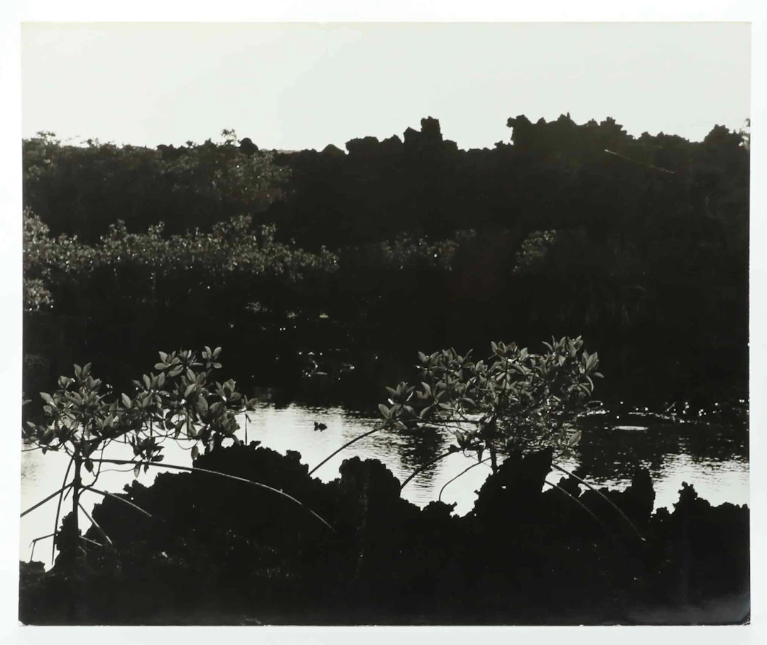 SVEN GILLSÄTER (1921-2001). Fotografi, Naturlandskap Galapagos, signerad