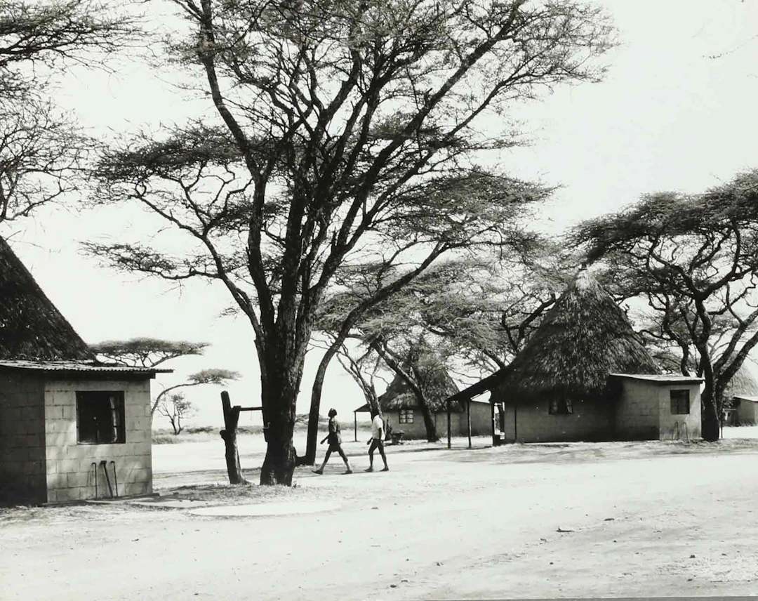 SVEN GILLSÄTER (1921-2001). fotografi, Tsavo East nationalpark, Kenya
