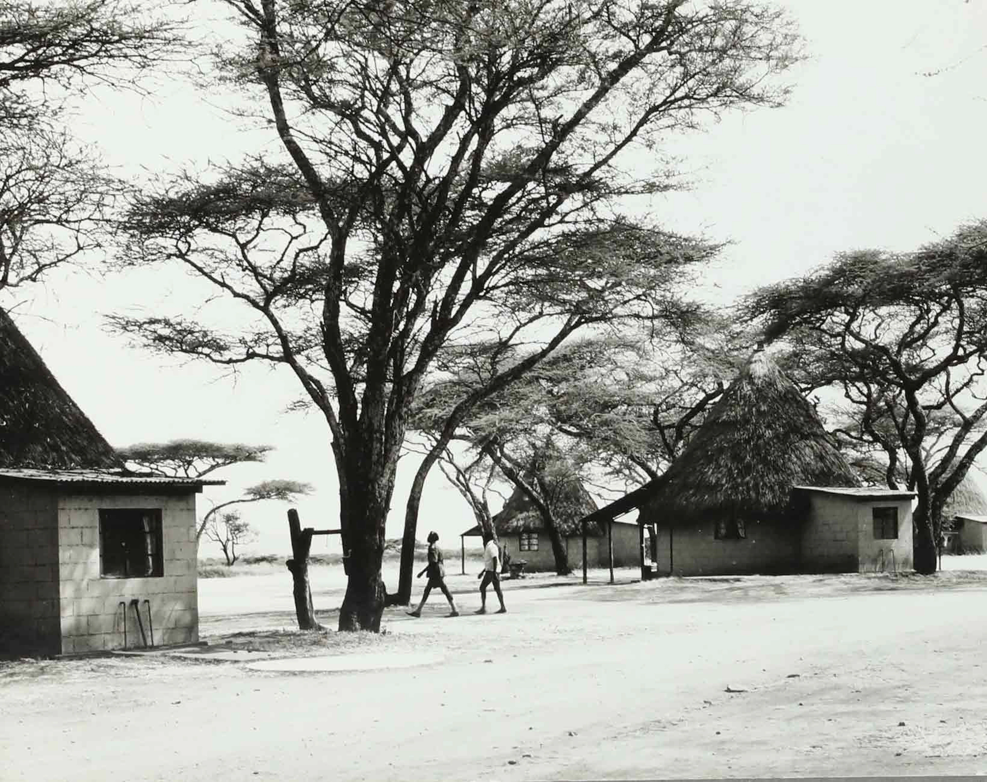 SVEN GILLSÄTER (1921-2001). fotografi, Tsavo East nationalpark, Kenya