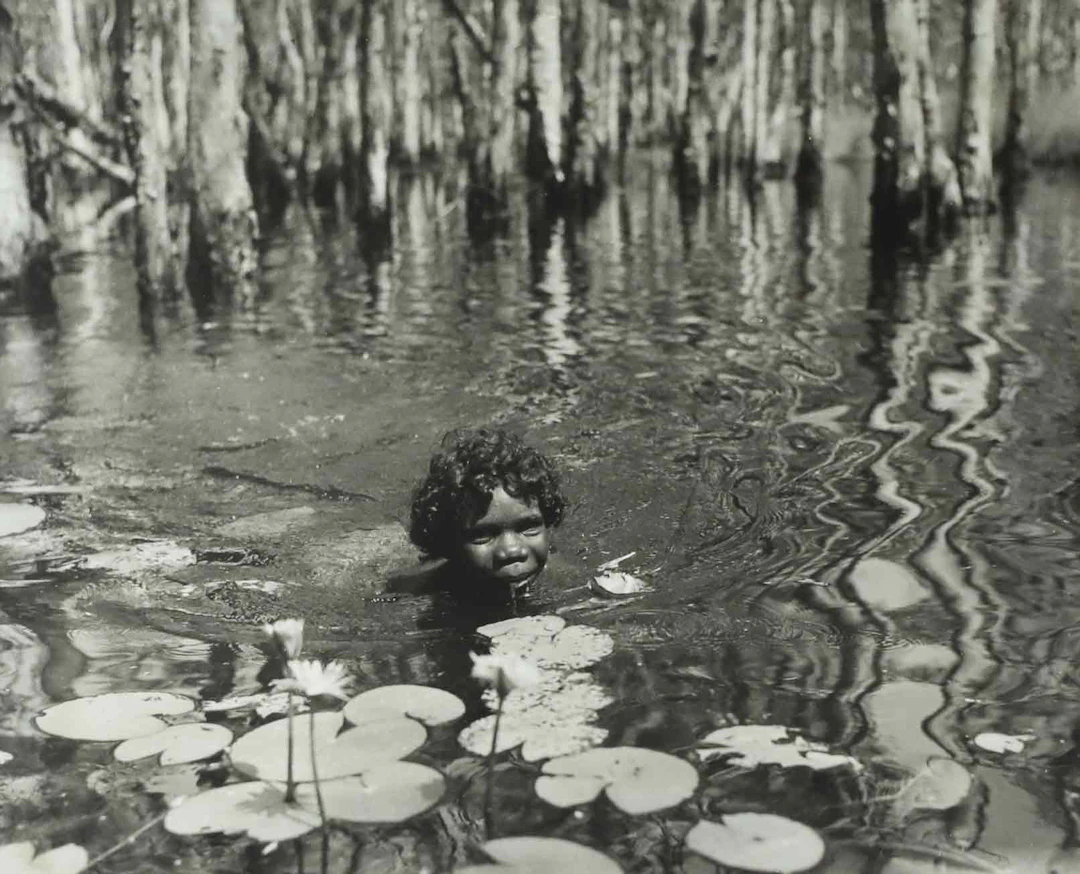 SVEN GILLSÄTER. Fotografi, badande barn, näckrosor, 1900-tal.