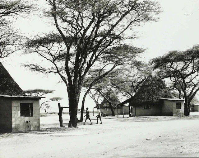 SVEN GILLSÄTER (1921-2001). fotografi, Tsavo East nationalpark, Kenya