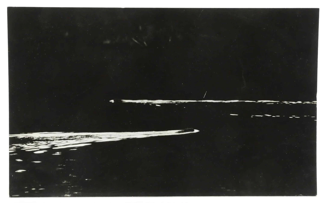 SVEN GILLSÄTER (1921-2001). Fotografi, bävrar i damm, 1970-tal.